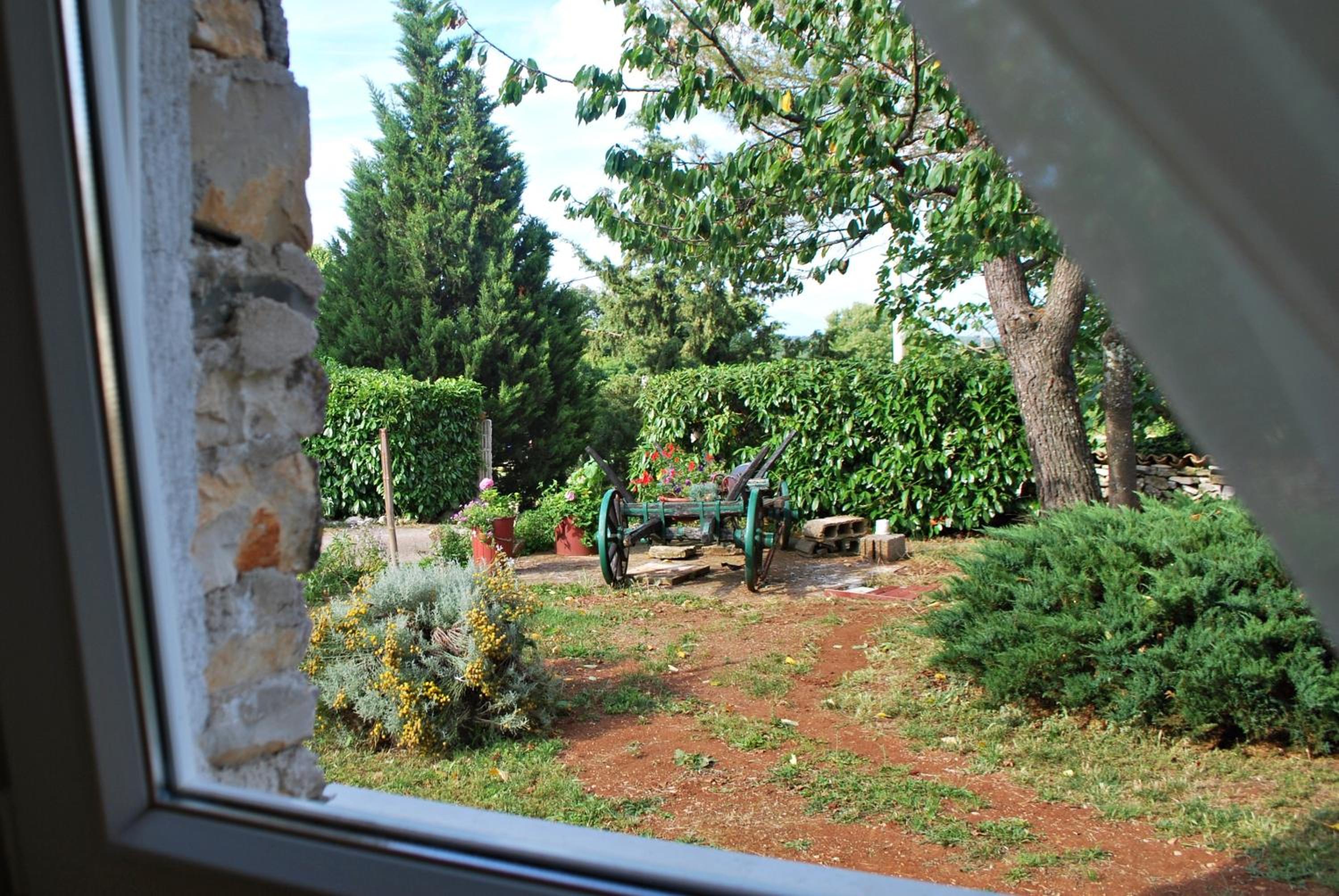 Apartment with Terrace photo 3