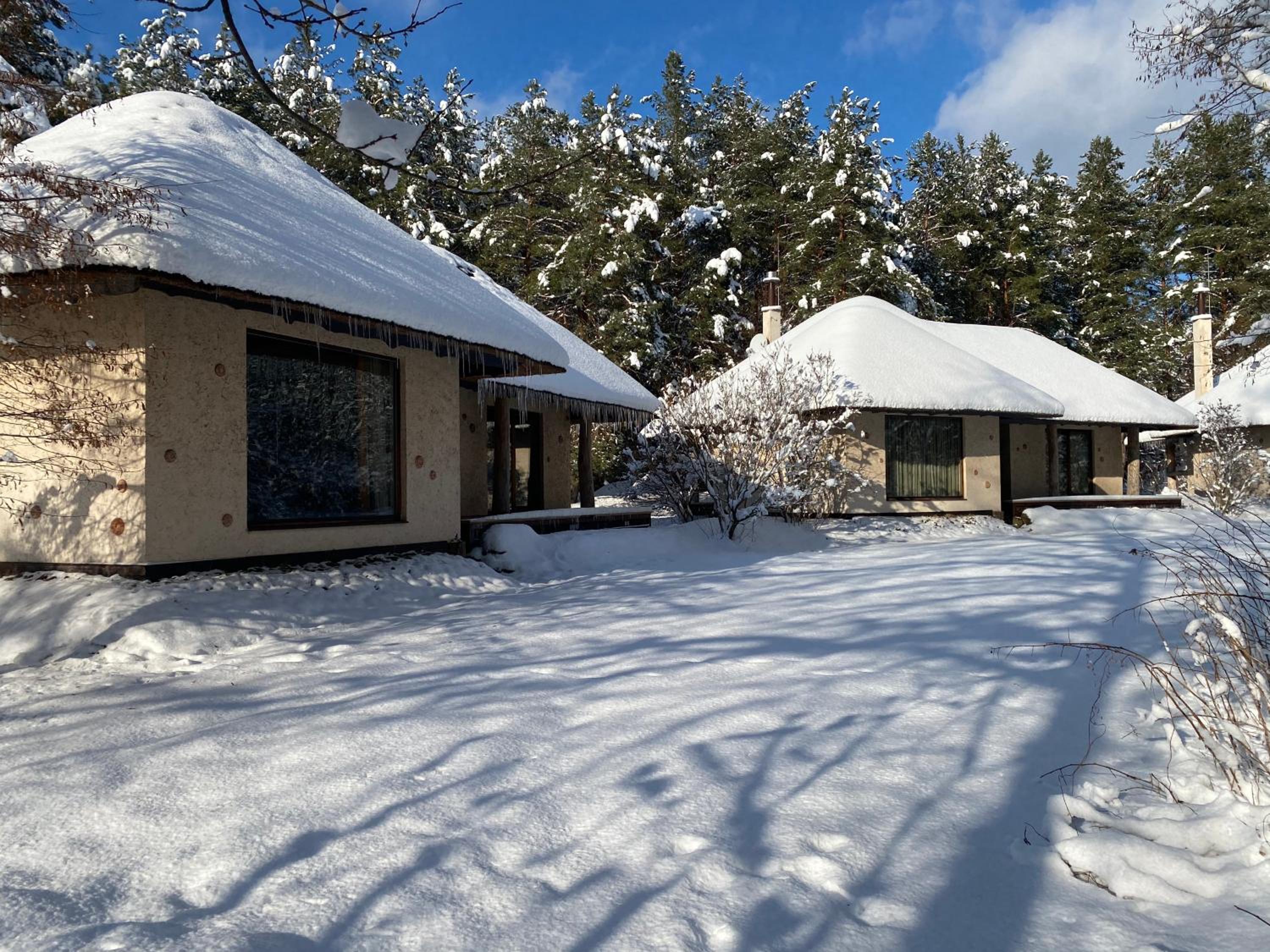 Deluxe Bungalow photo 1