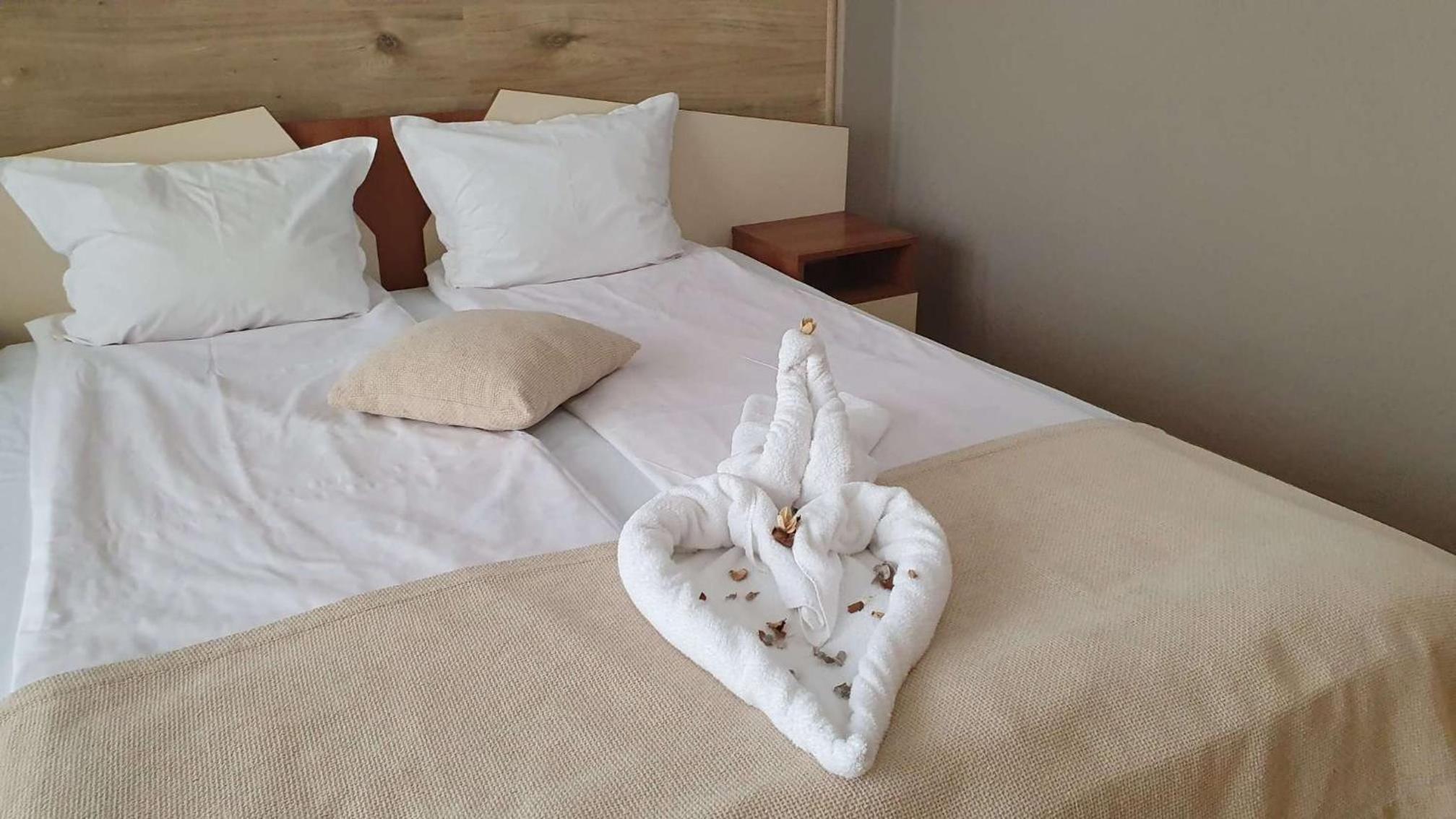 Double or Twin Room - Photo 1