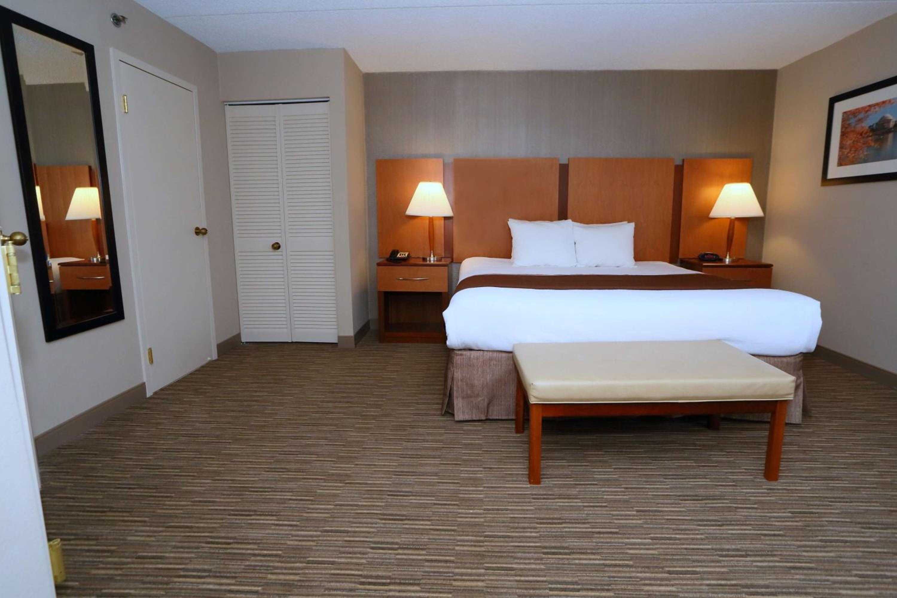 King Suite with Sofa Bed - Photo 1