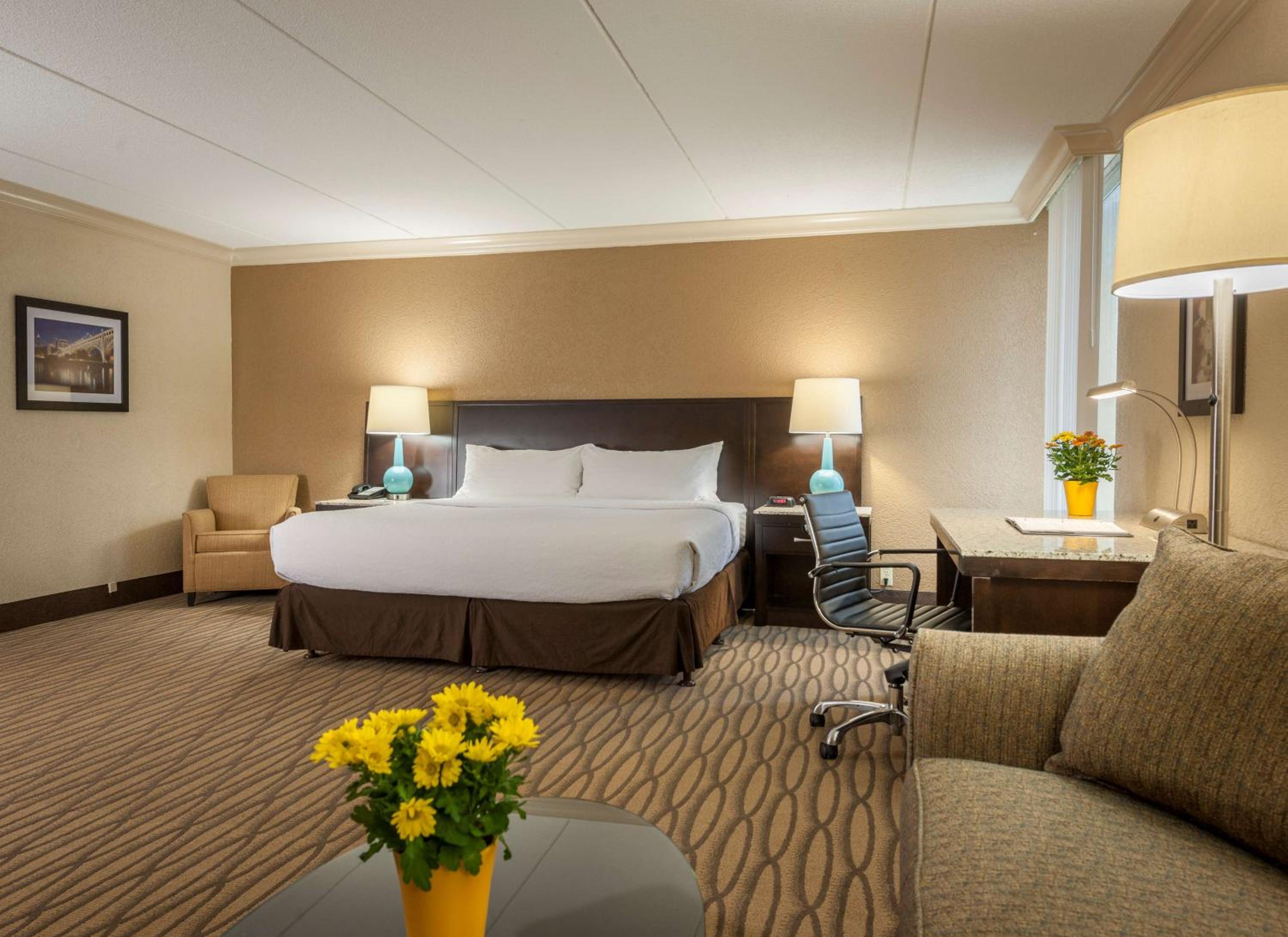 King Suite with Sofa-Bed - Non-Smoking - Photo 3