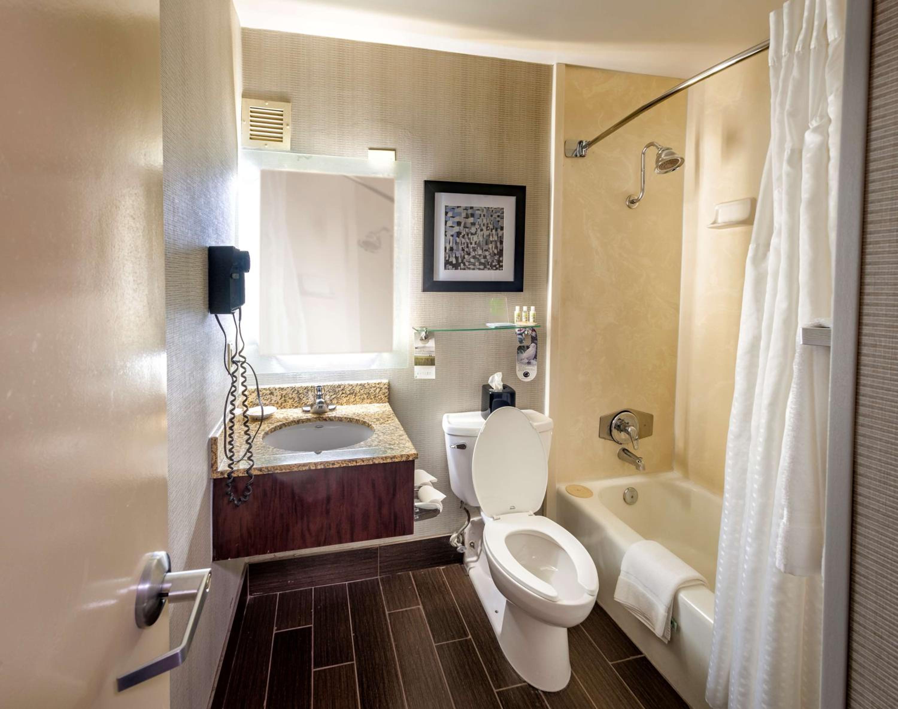 King Suite with Sofa-Bed - Non-Smoking - Photo 2