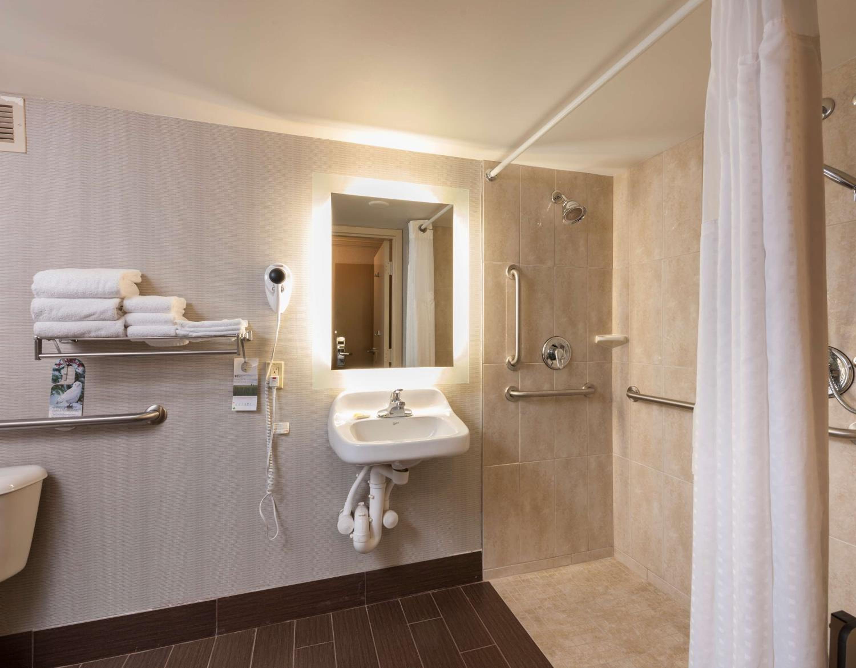 King Room with Roll-In Shower - Disability Access - Photo 3
