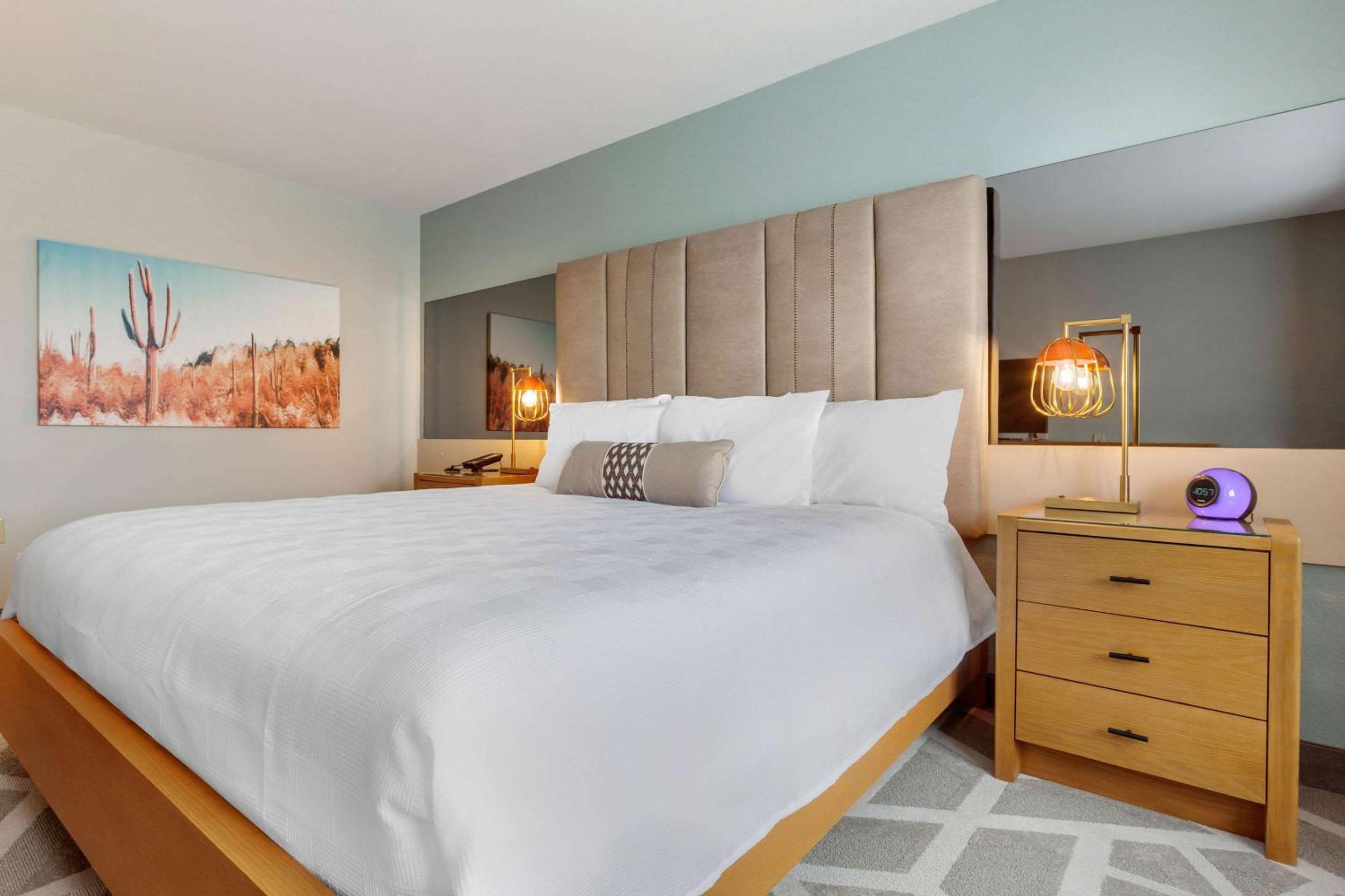 King Room with Roll-in Shower - Mobility Access/Non-Smoking - Photo 1