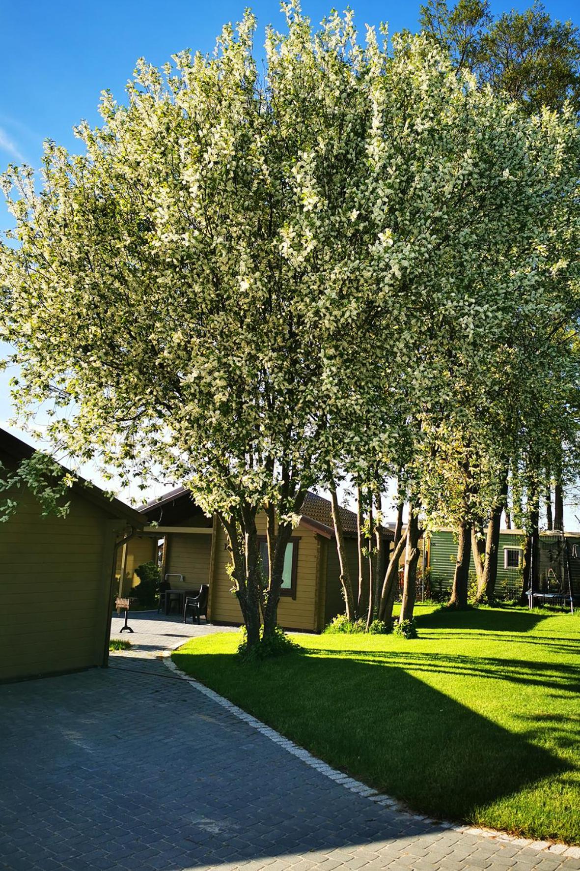One-Bedroom House - Photo 17