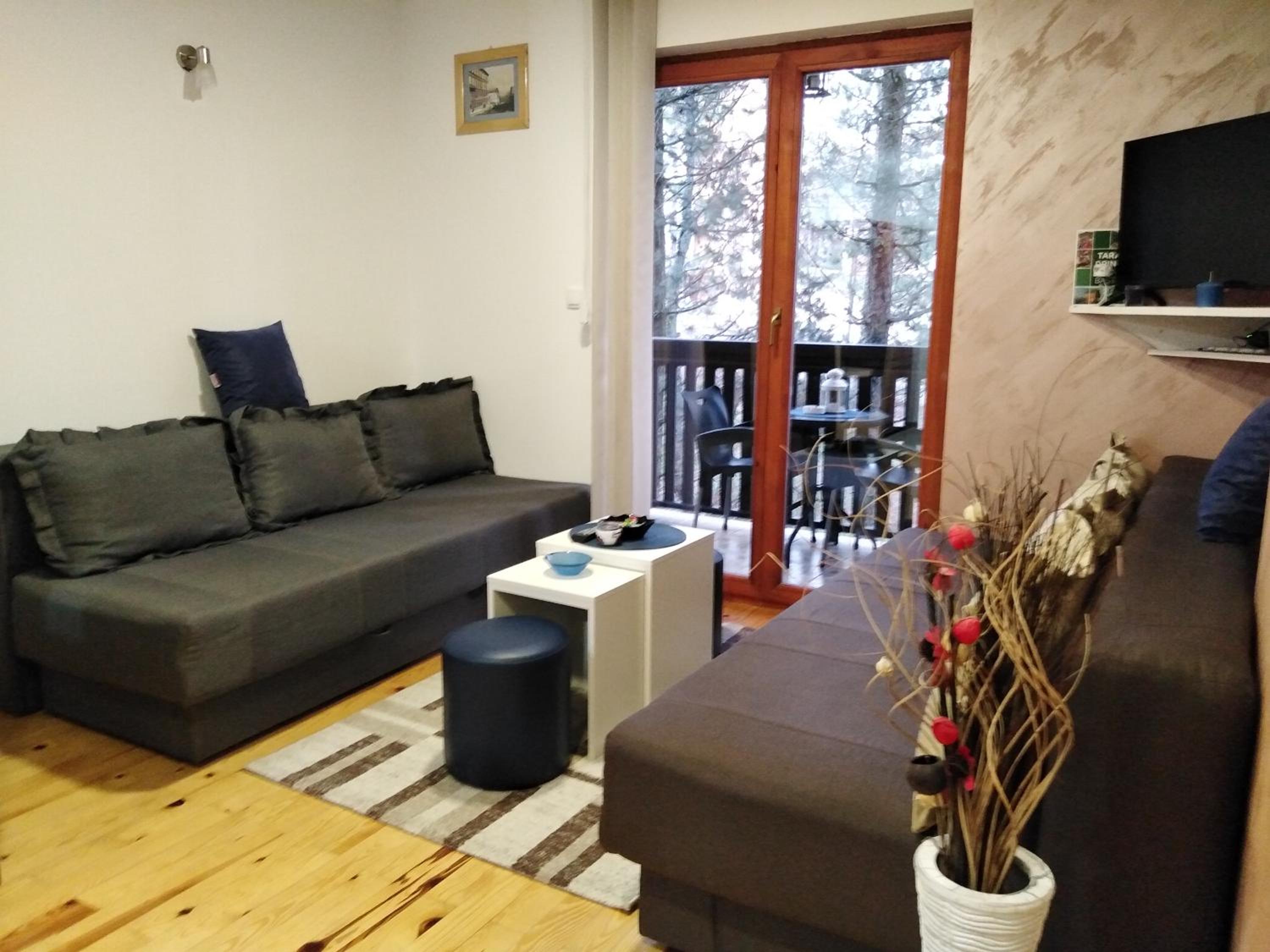 Studio with Terrace photo 2