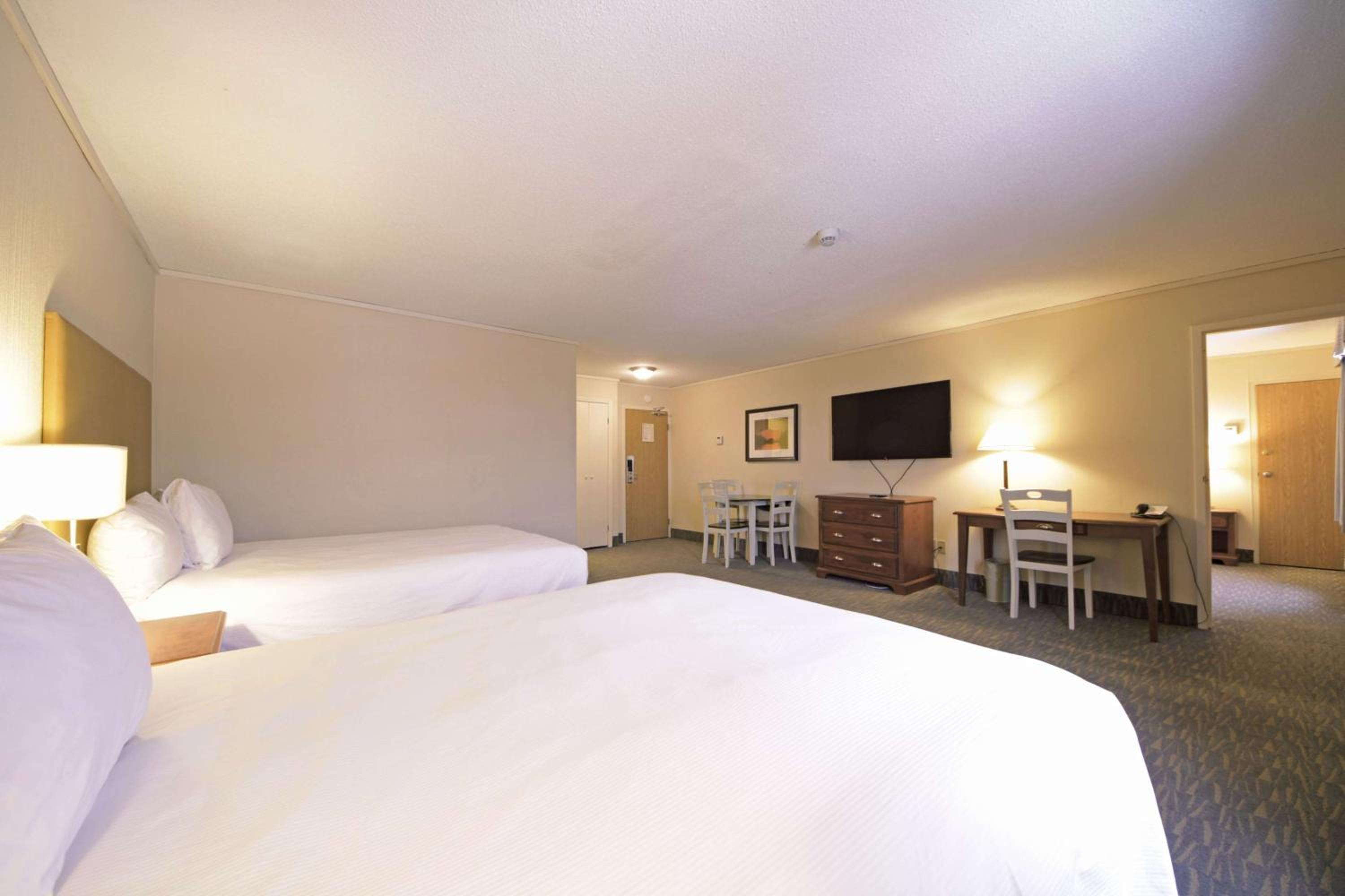 Suite with Three Queen beds - Photo 3