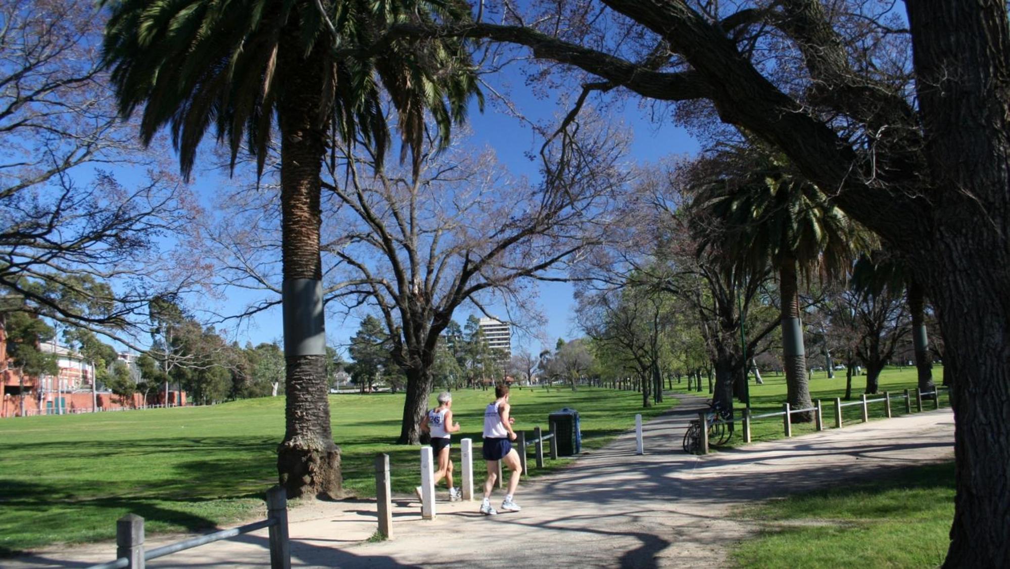 203 - Photo 14
