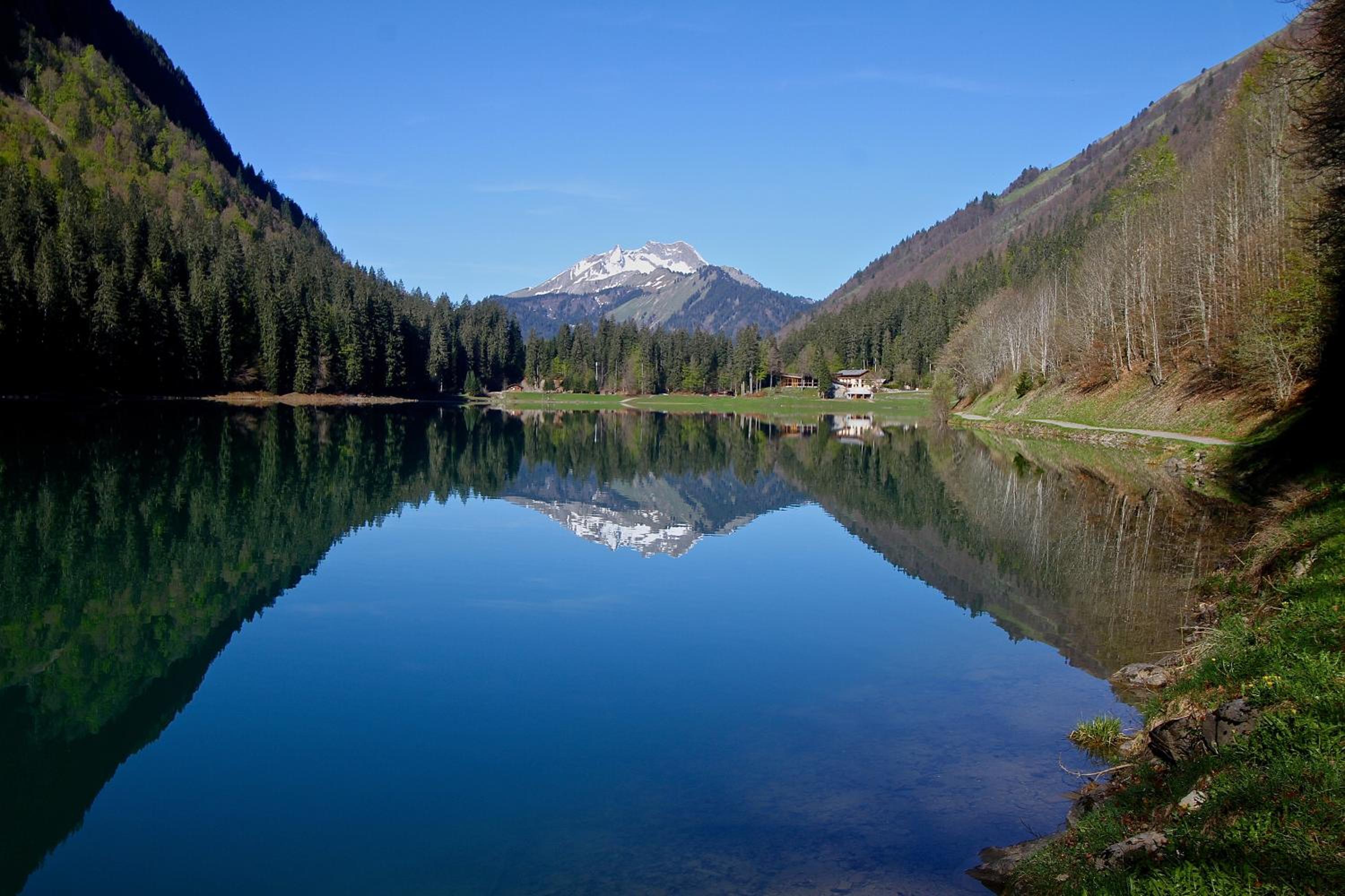 Small Chalet - Photo 47