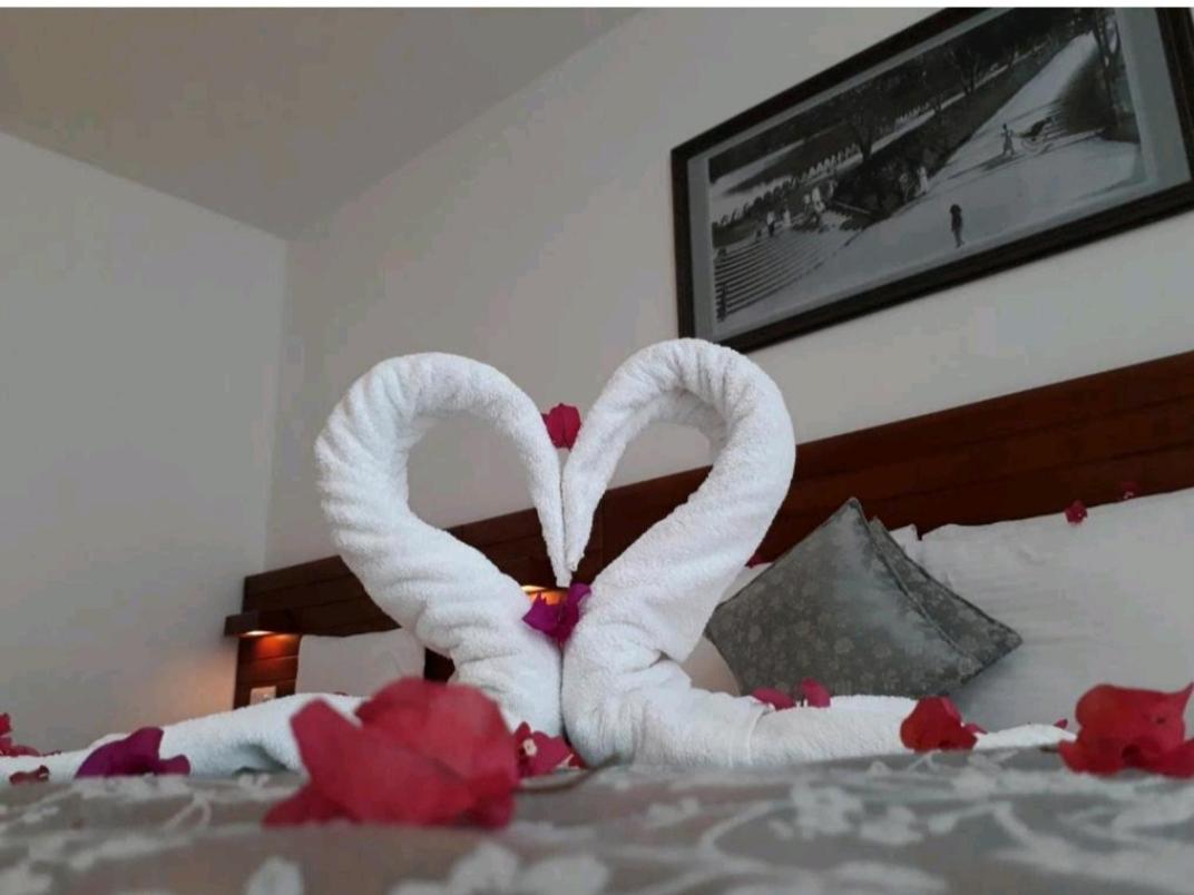 Superior Double Room photo 3