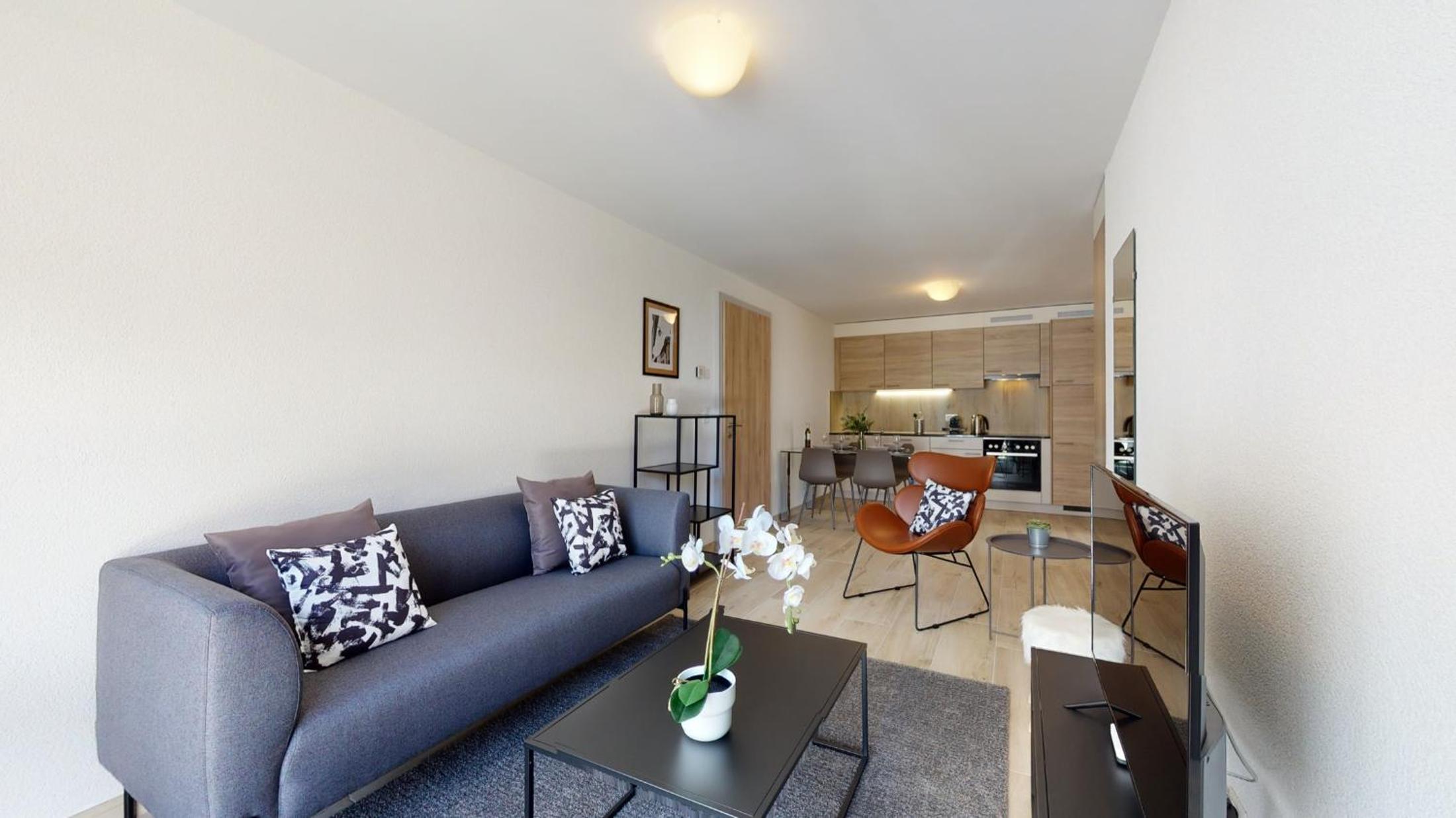 One-Bedroom Apartment