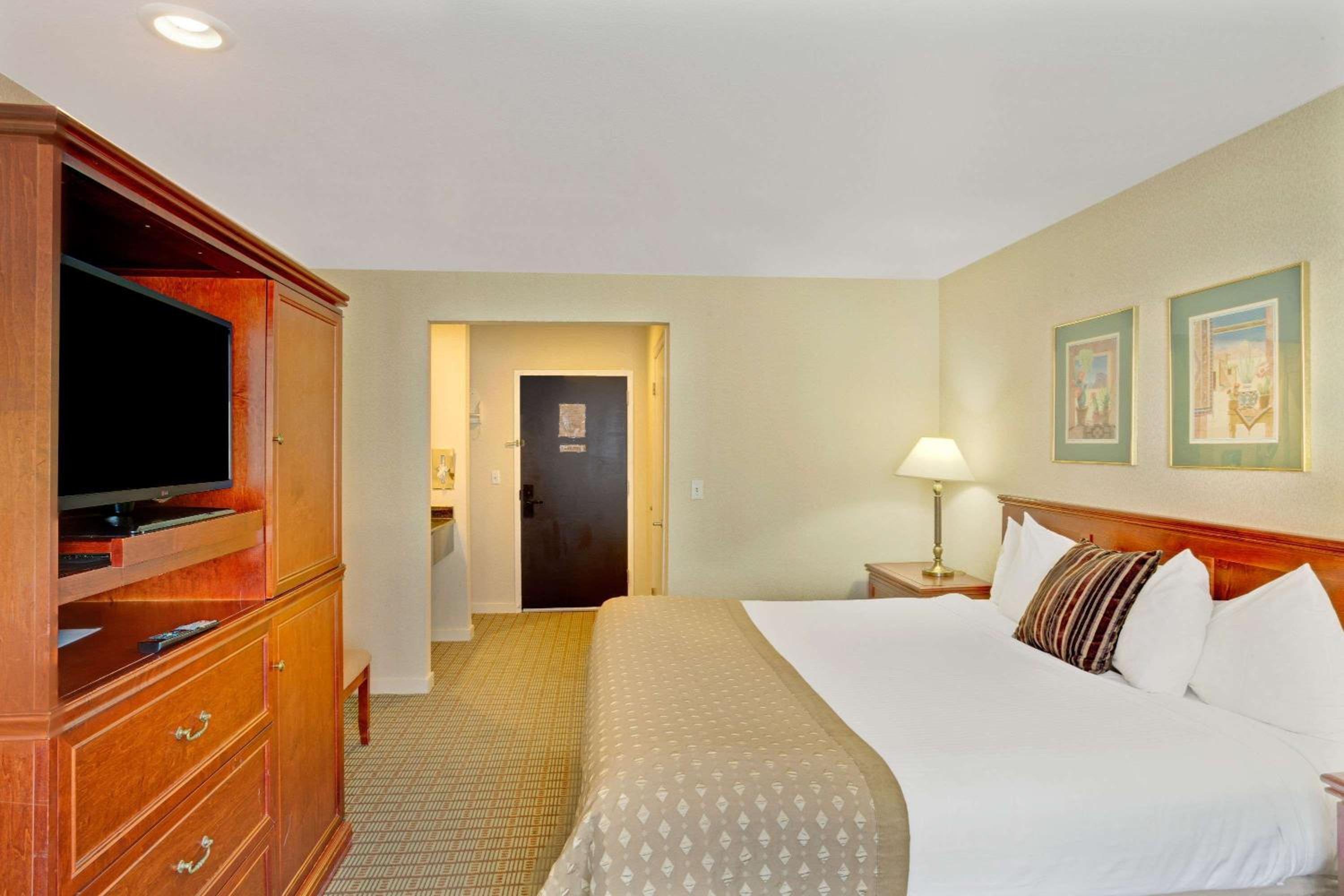 King Room - Pet Friendly/Non-Smoking - Photo 5