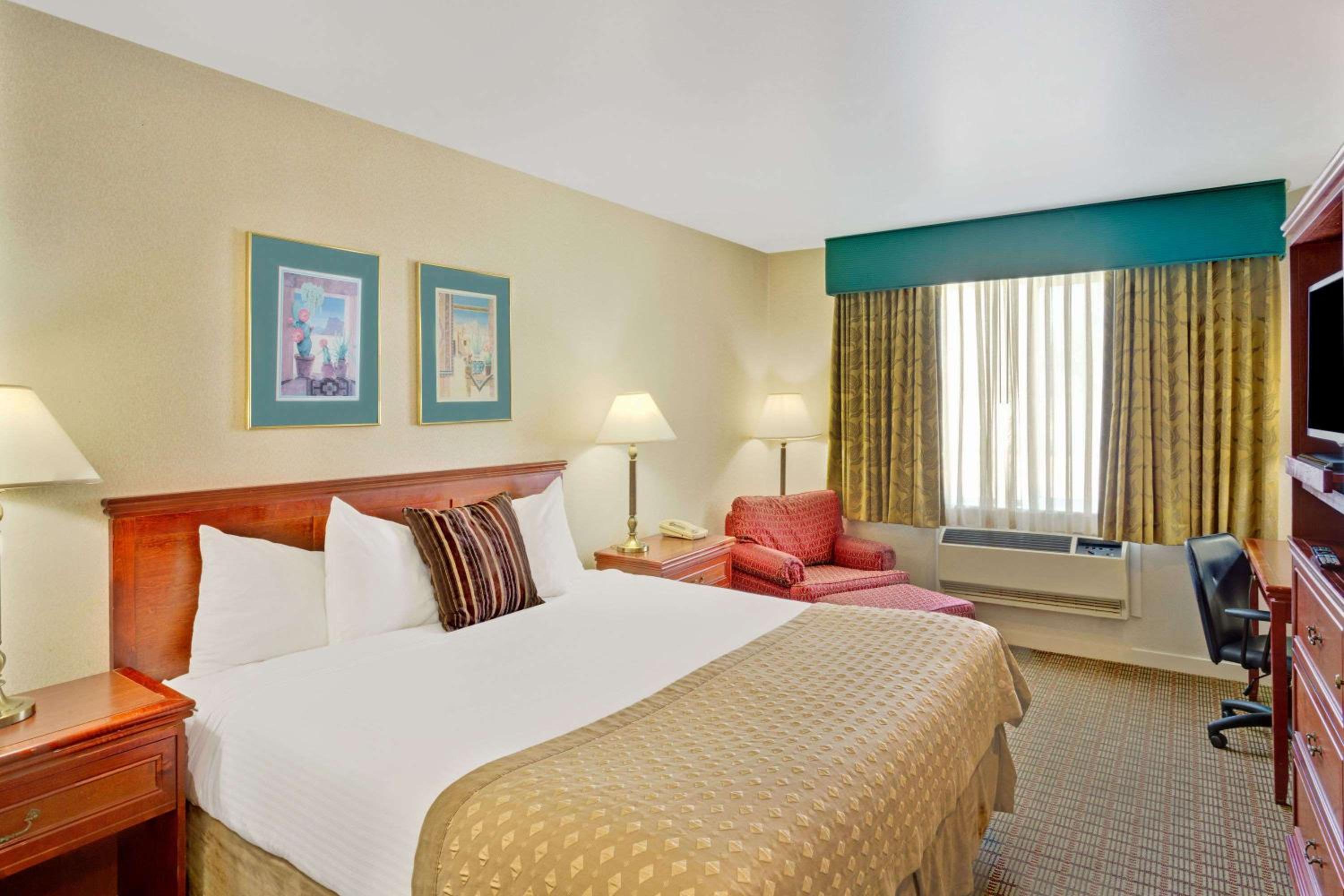 King Room - Pet Friendly/Non-Smoking - Photo 3