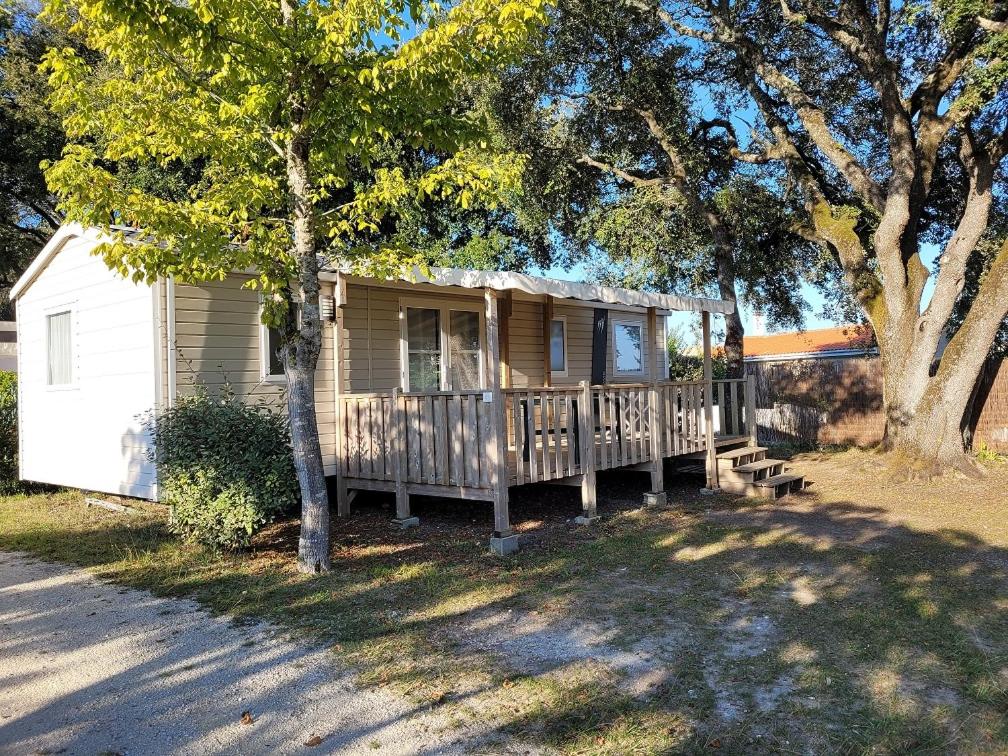 Mobile Home photo 1