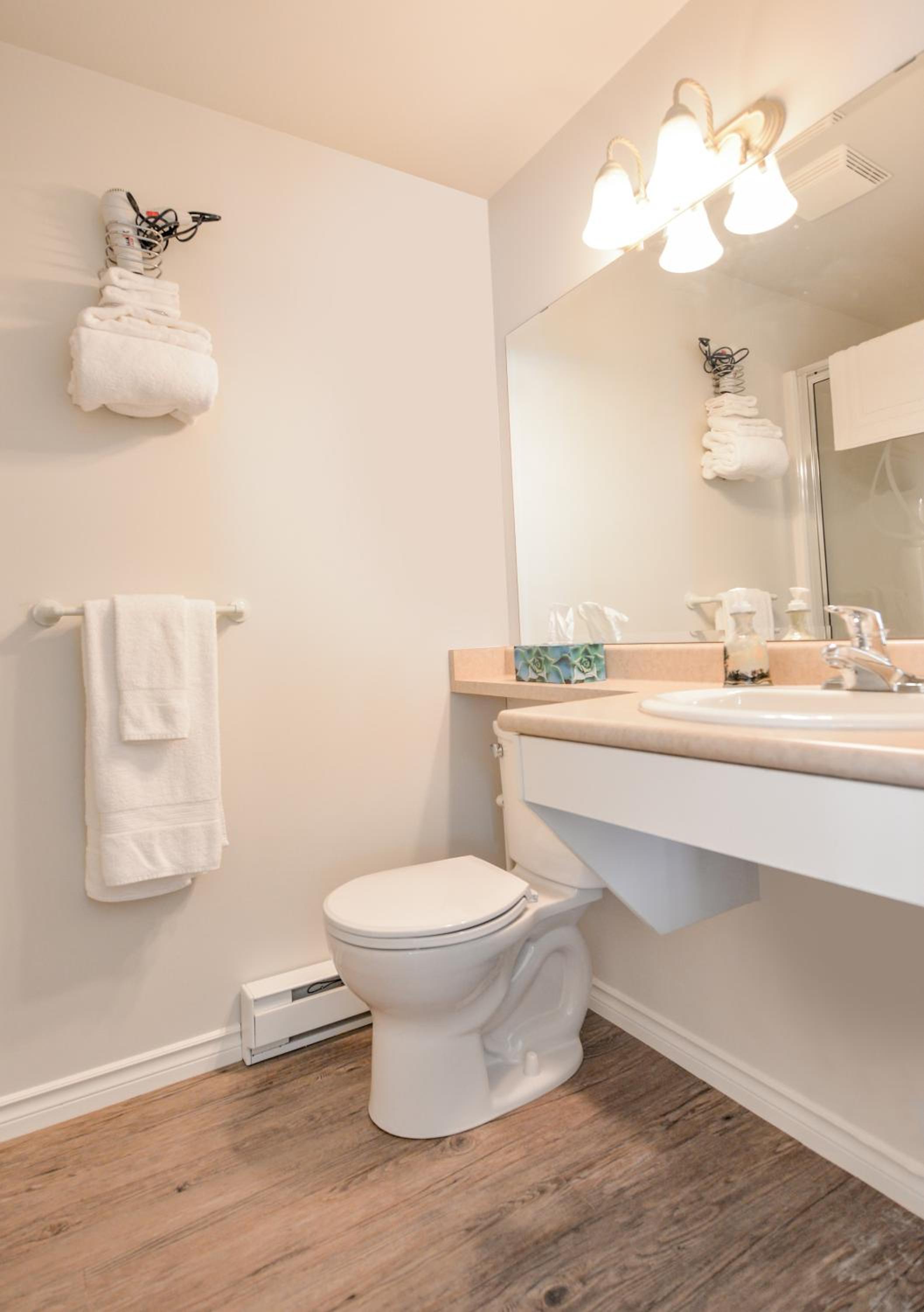 Queen Room with Sea View - Pets Welcome photo 1