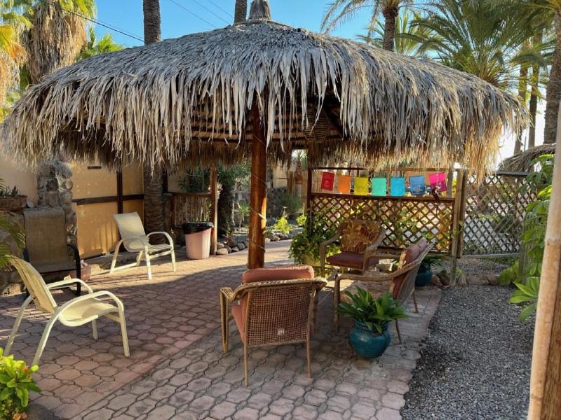 Baja Yurt Tent - Photo 4