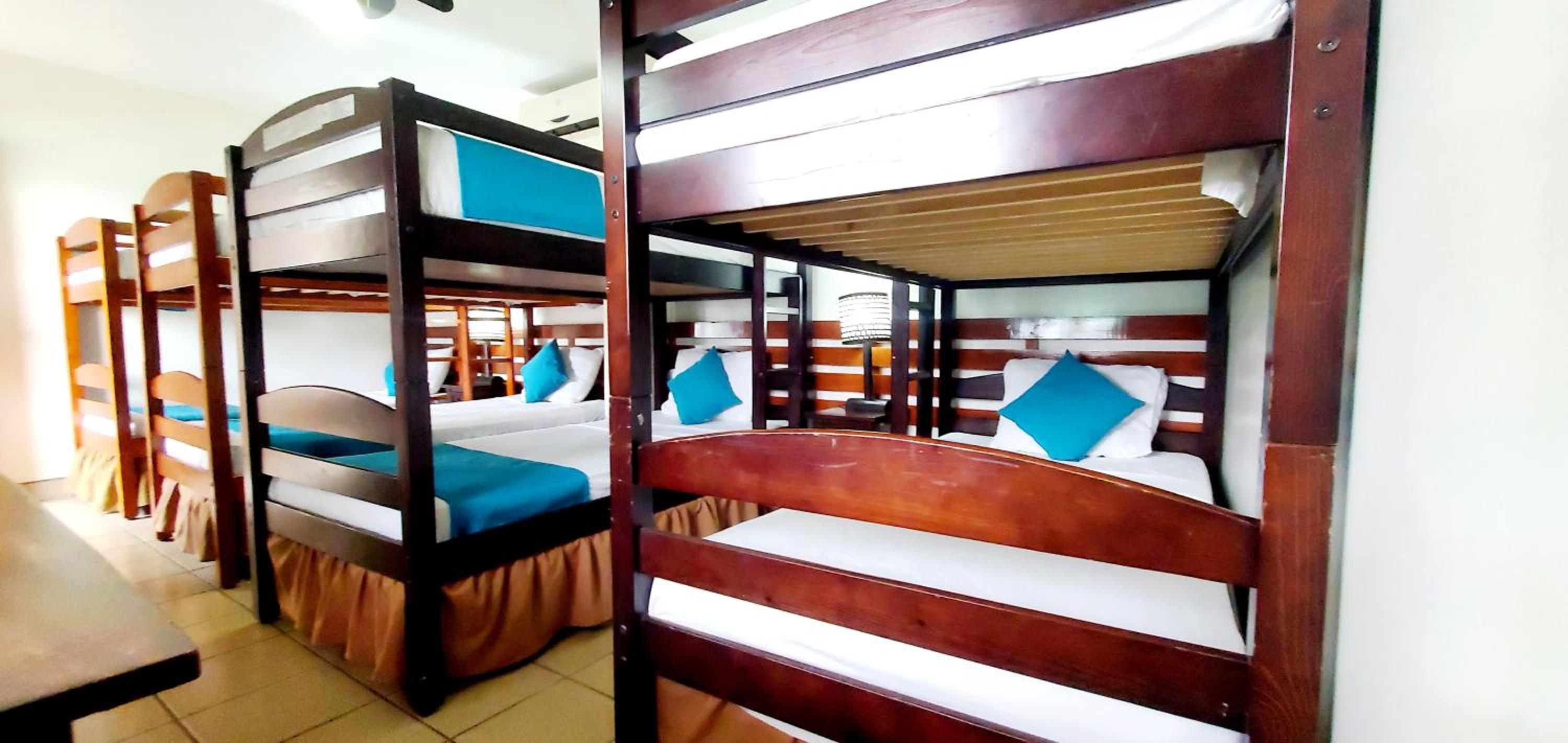 Bed In 8-Bed Dormitory Room