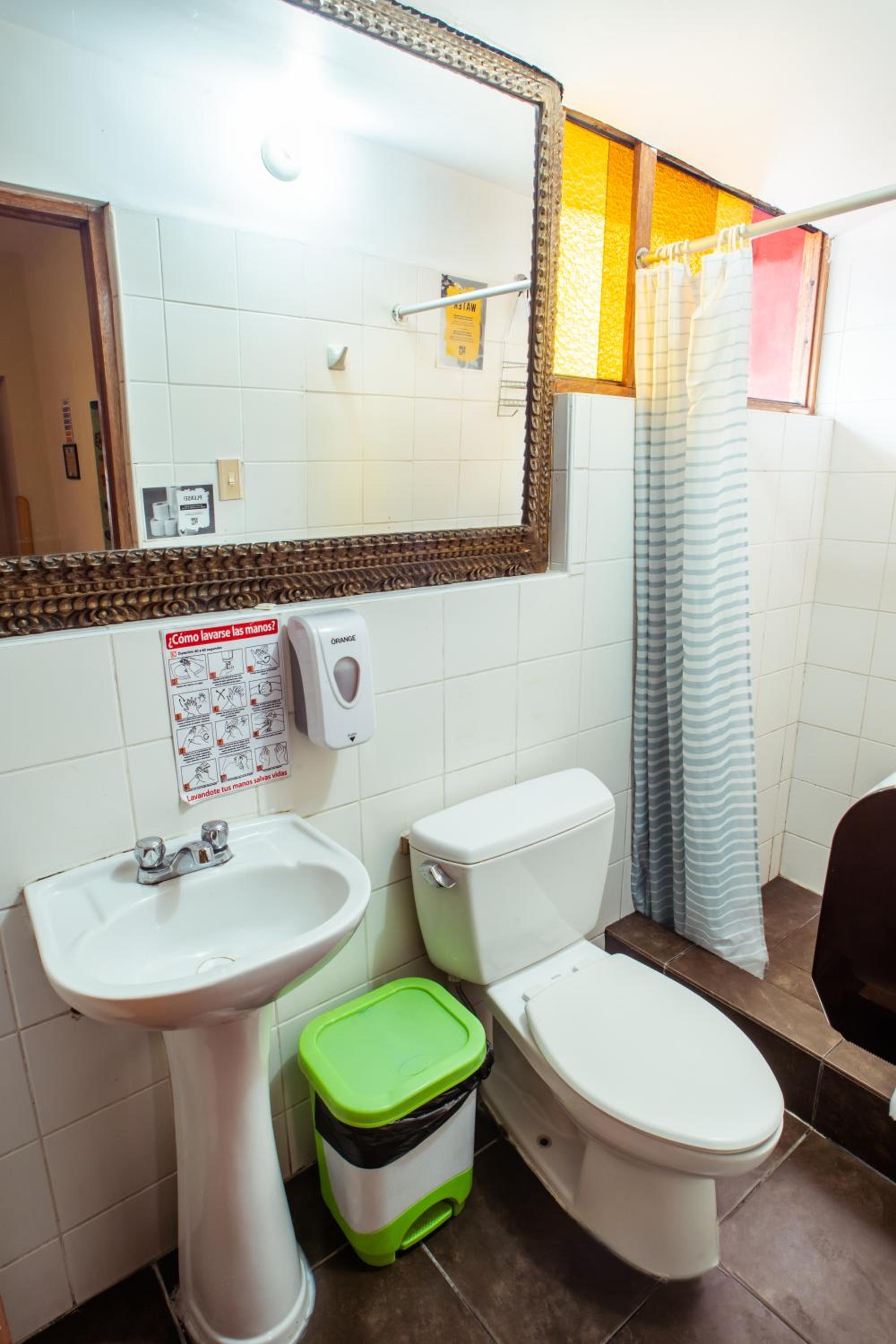 Deluxe Bed in 8-Bed Female Dormitory Room with Bathroom photo 3