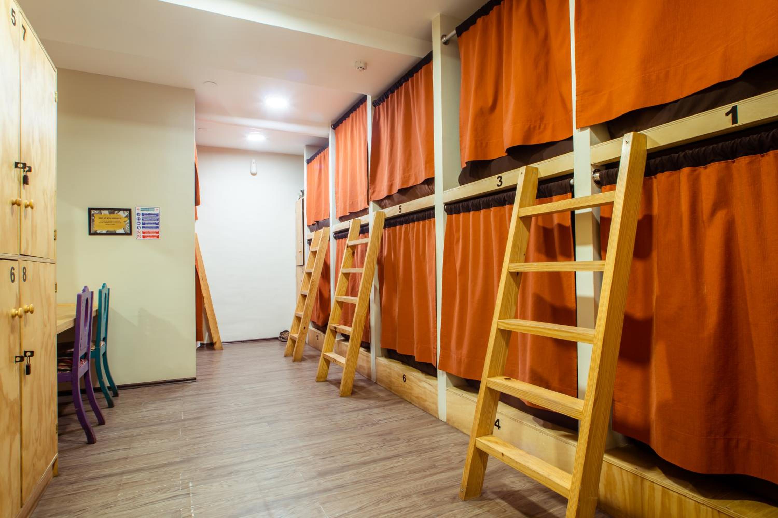 Deluxe Bed in Mixed Dormitory Room with 12 Beds