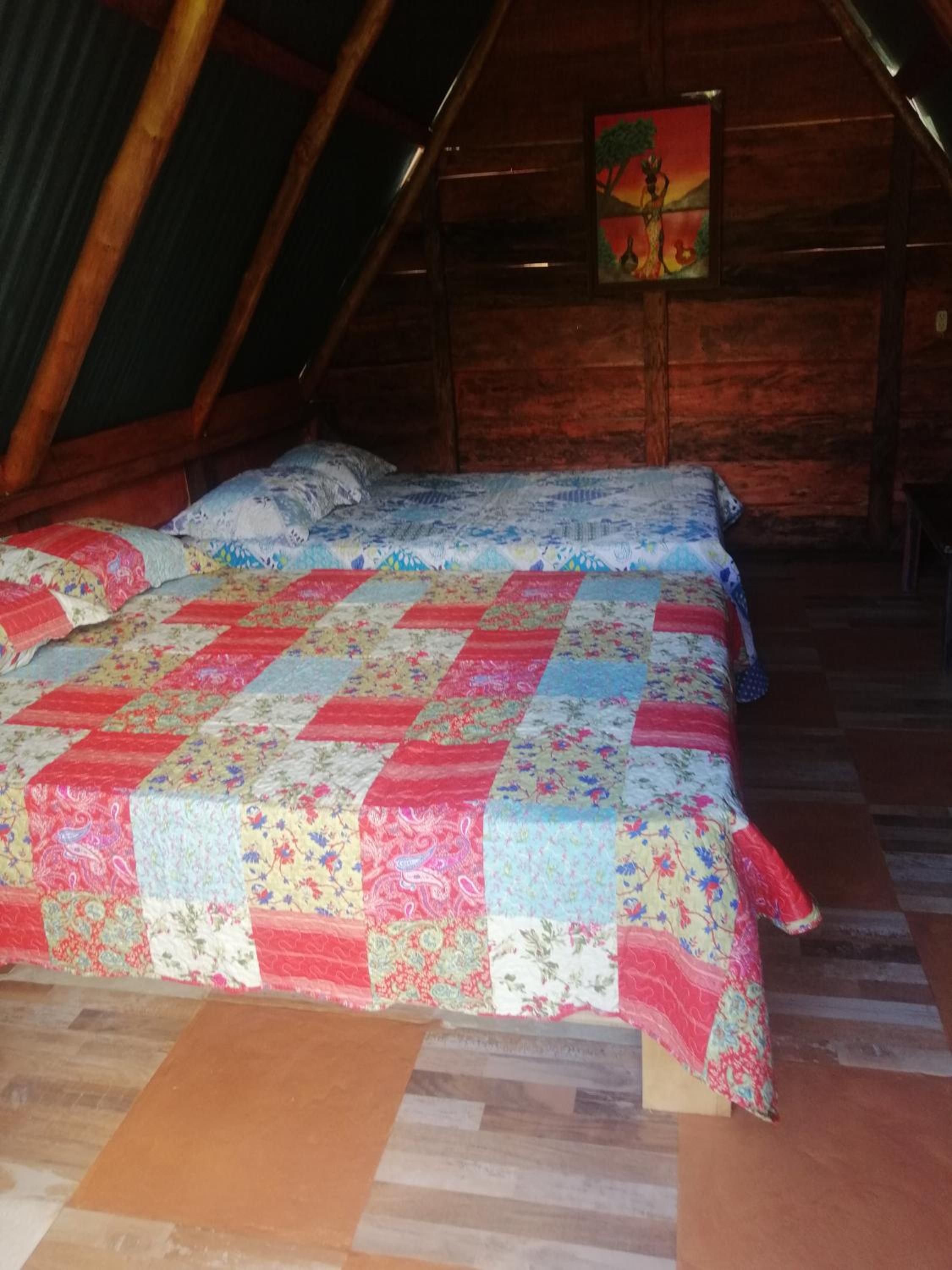 Standard Twin Room with Mountain View photo 1