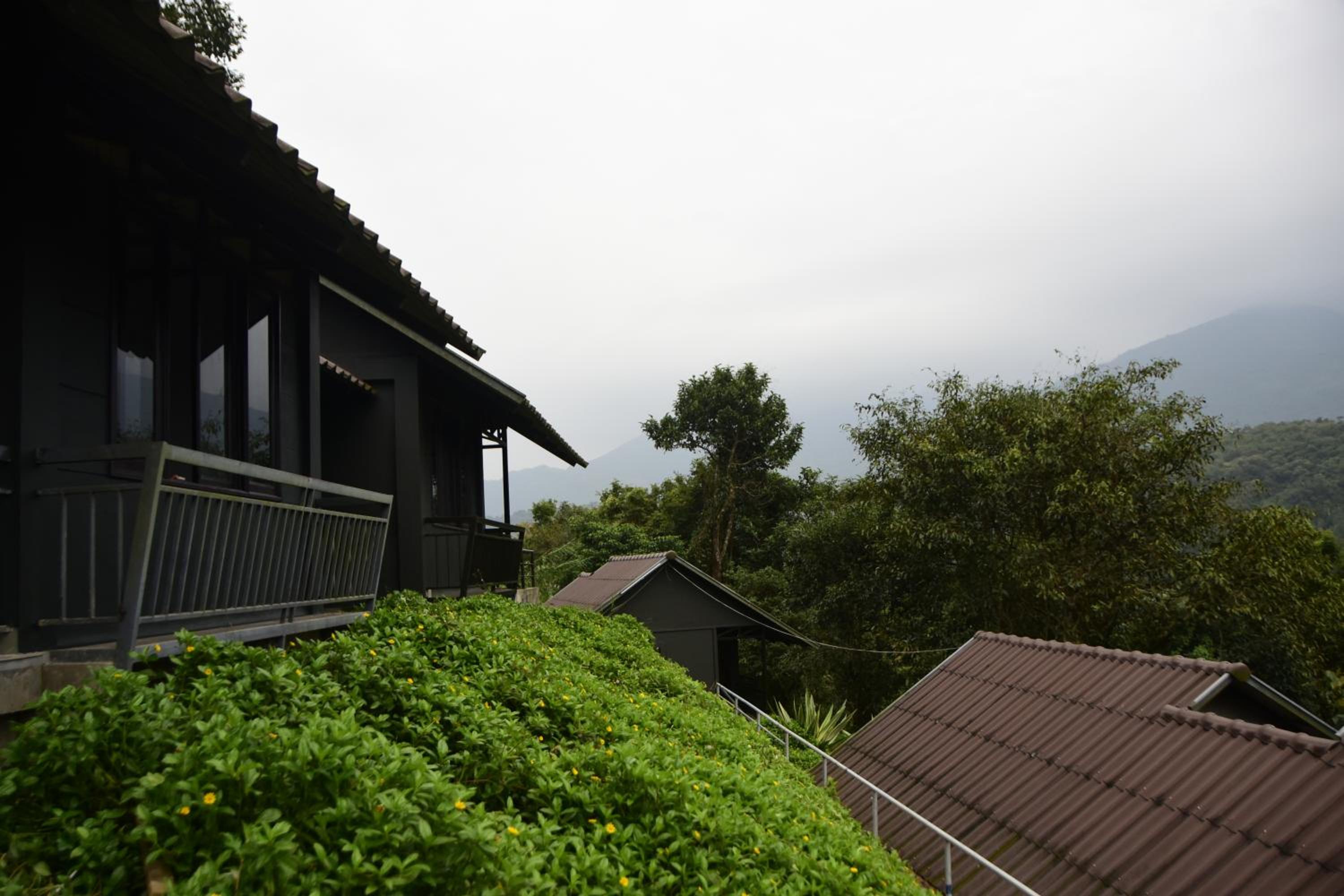 Superior Bungalow photo 3