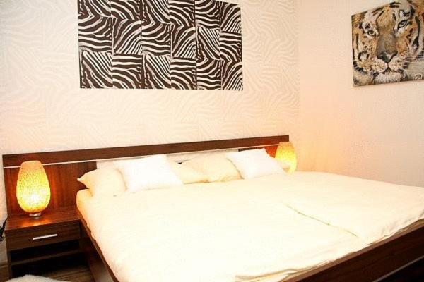 Suite photo 1