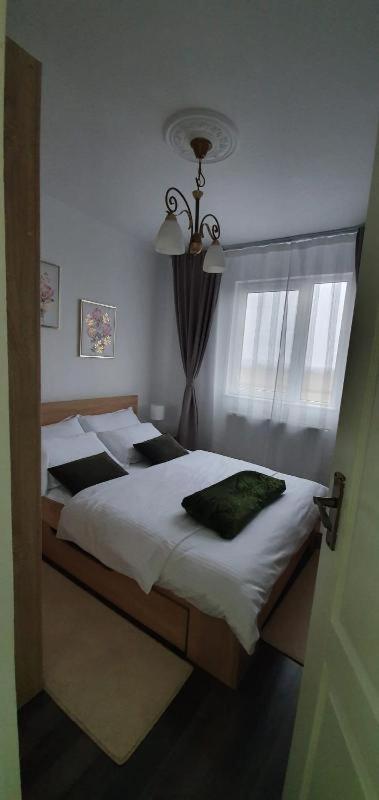 One-Bedroom Apartment photo 3