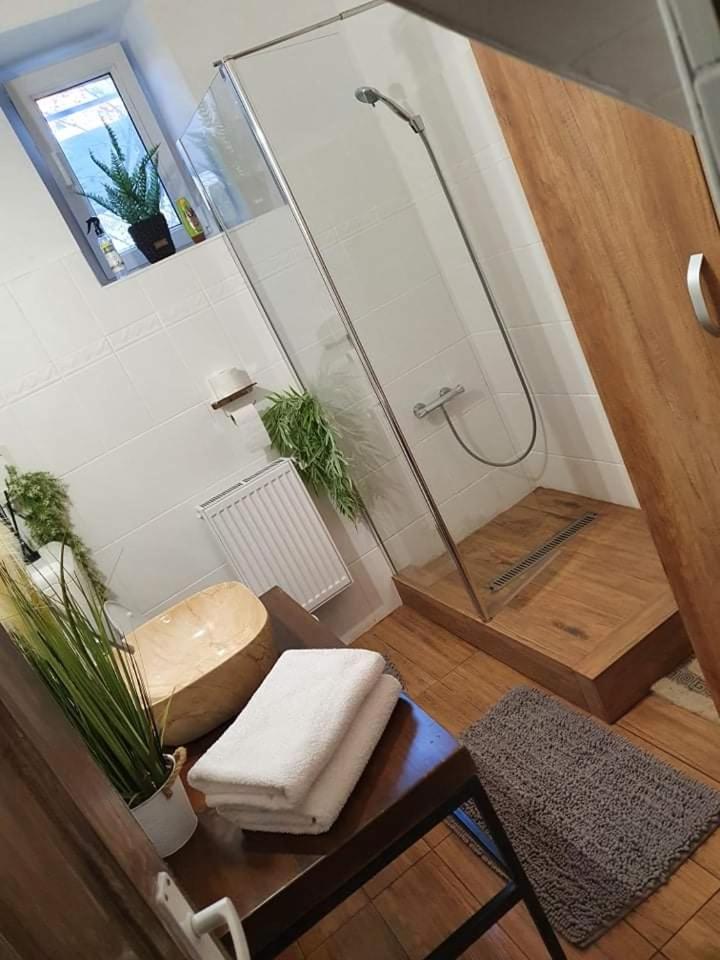 Apartment with Garden View photo 2