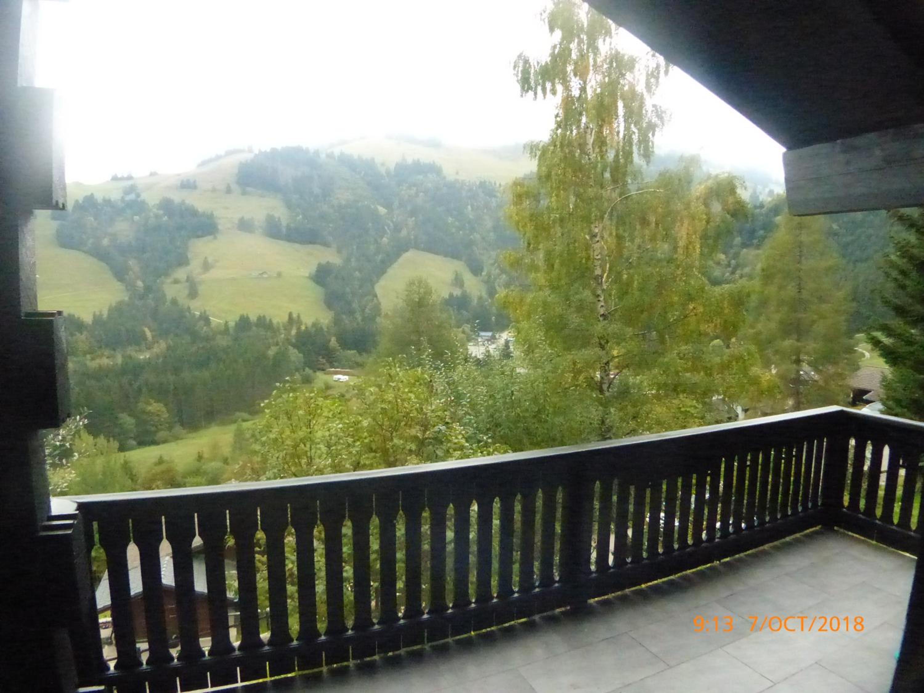 Three-Bedroom Chalet - Photo 17