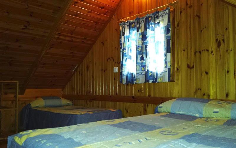 Deluxe Bungalow photo 3