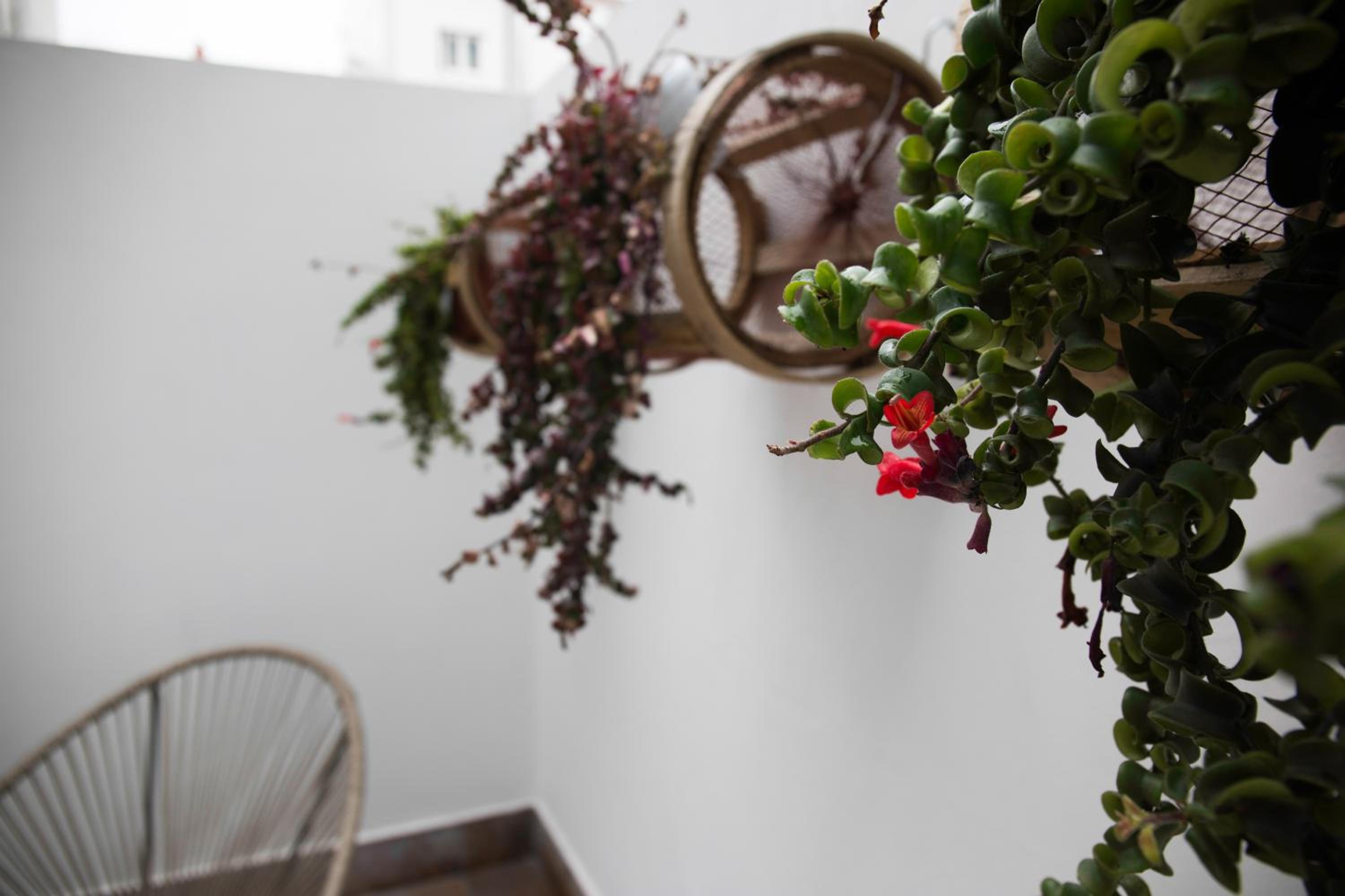 Loft - Photo 3