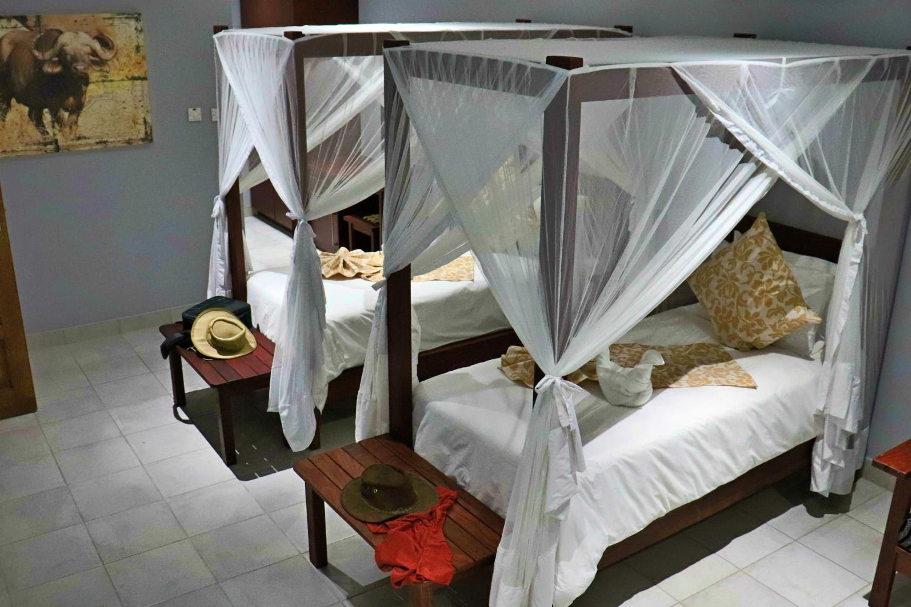 Twin Room - Photo 6