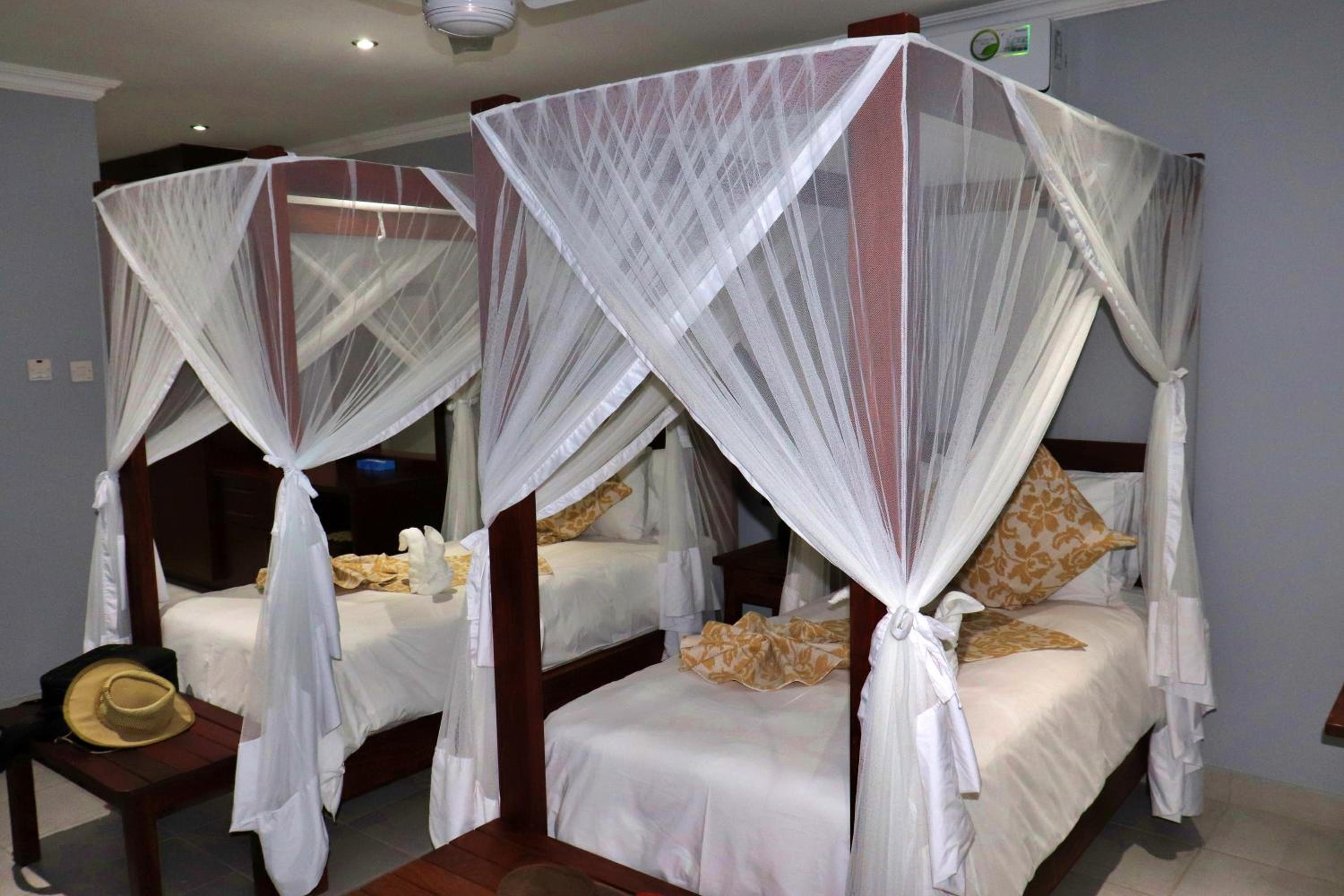 Twin Room - Photo 8
