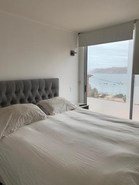 Superior Apartment photo 1