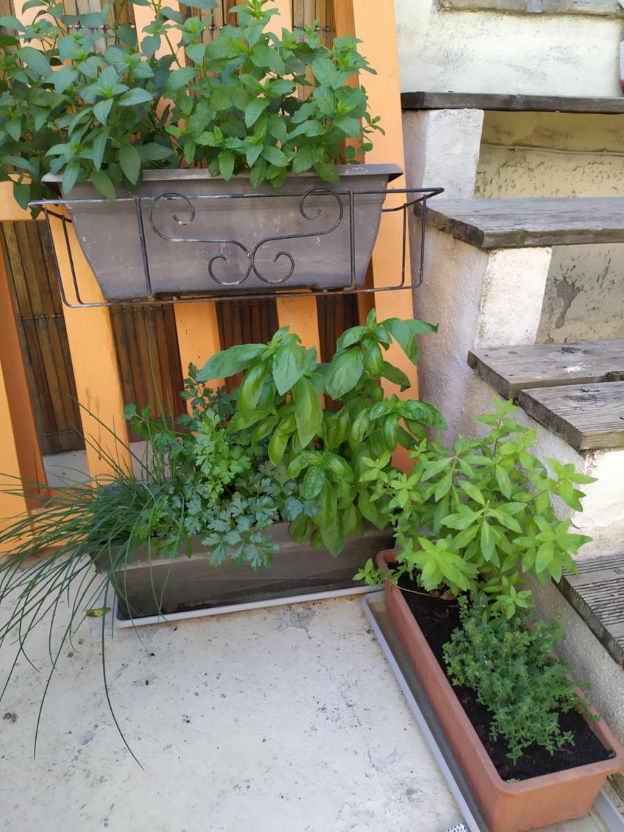 Studio with Terrace photo 3