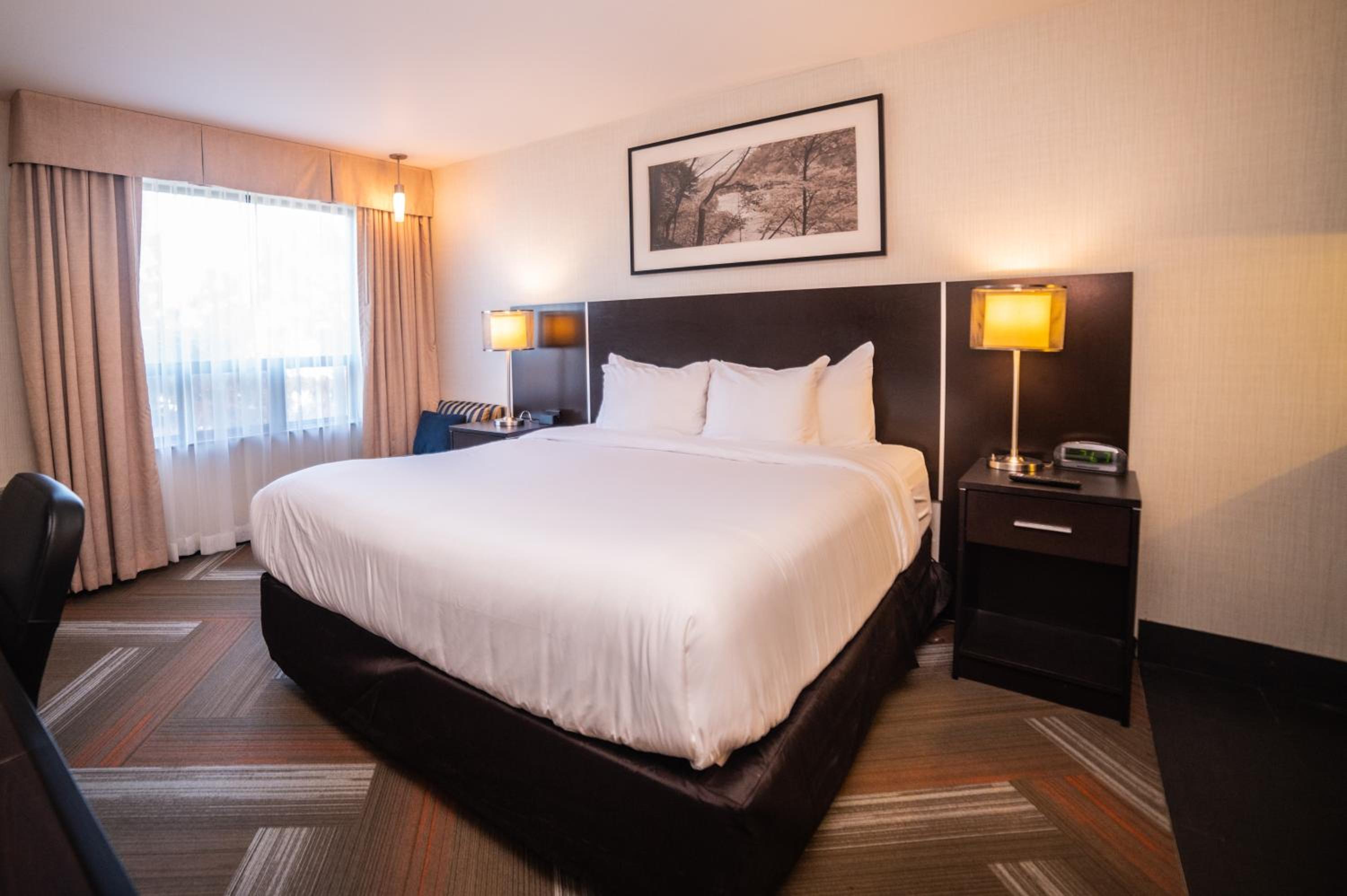 Standard King Room - Non-Smoking  - Photo 2