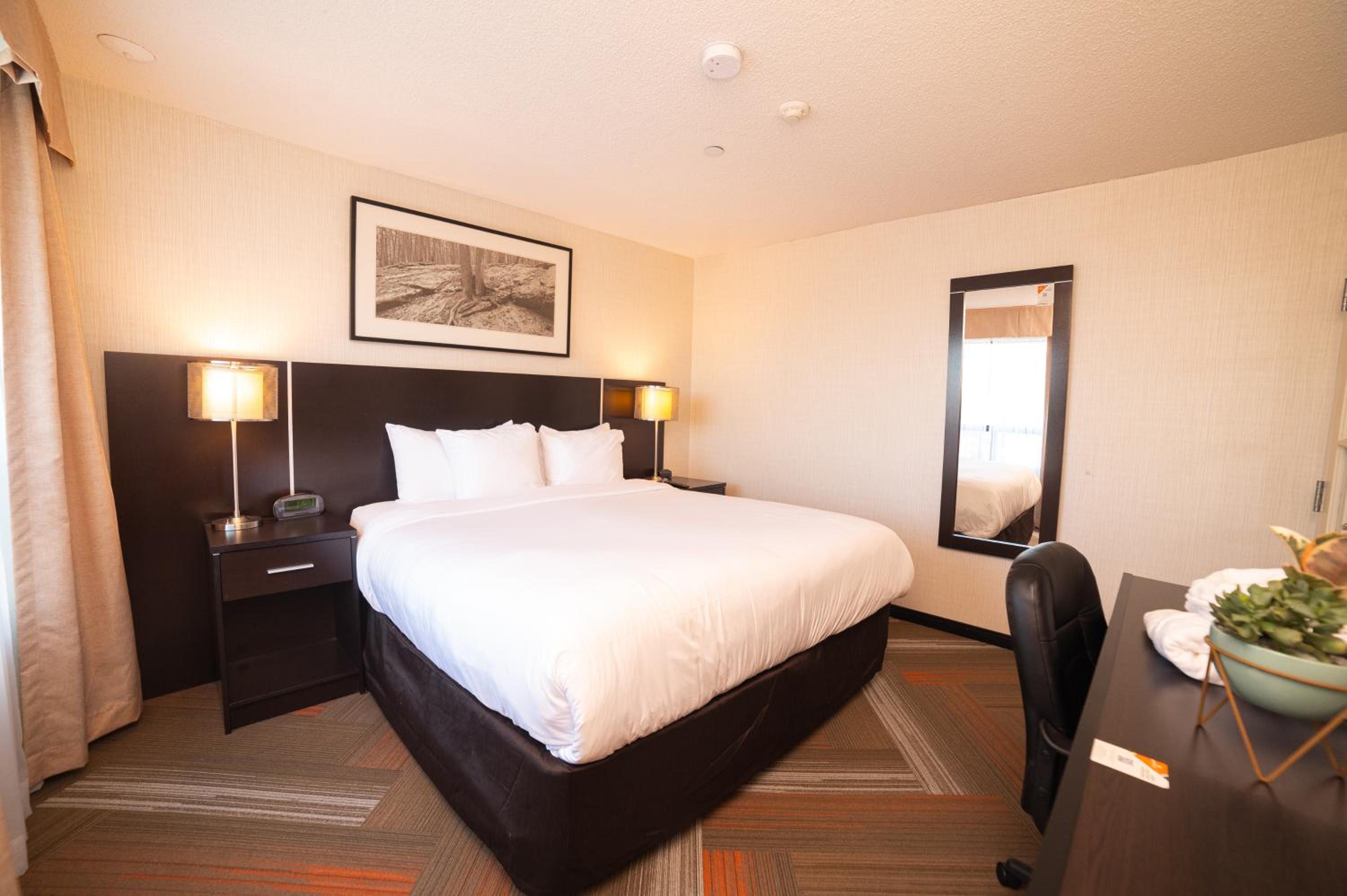 Standard King Room - Non-Smoking  - Photo 6