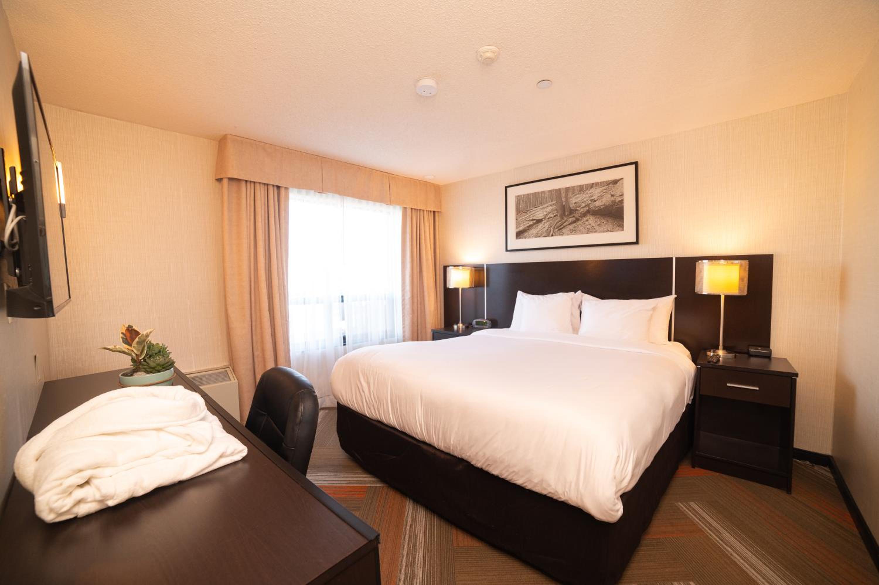 Standard King Room - Non-Smoking  - Photo 11