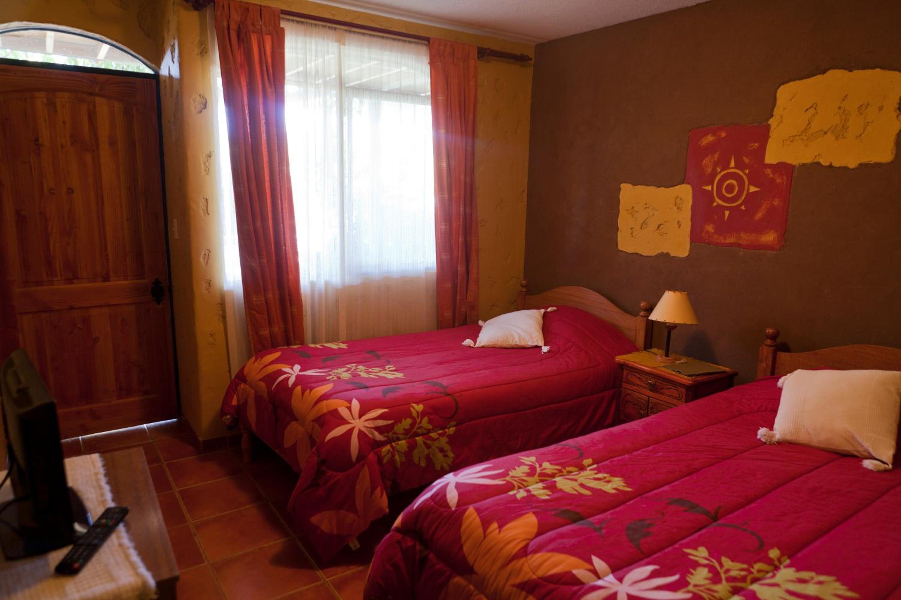 Twin Room photo 1