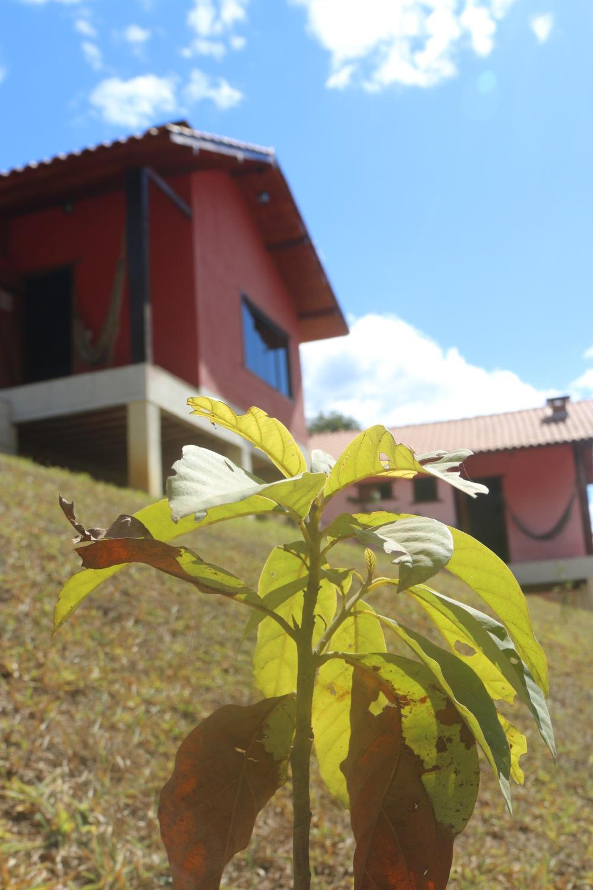 Superior Chalet - Photo 7