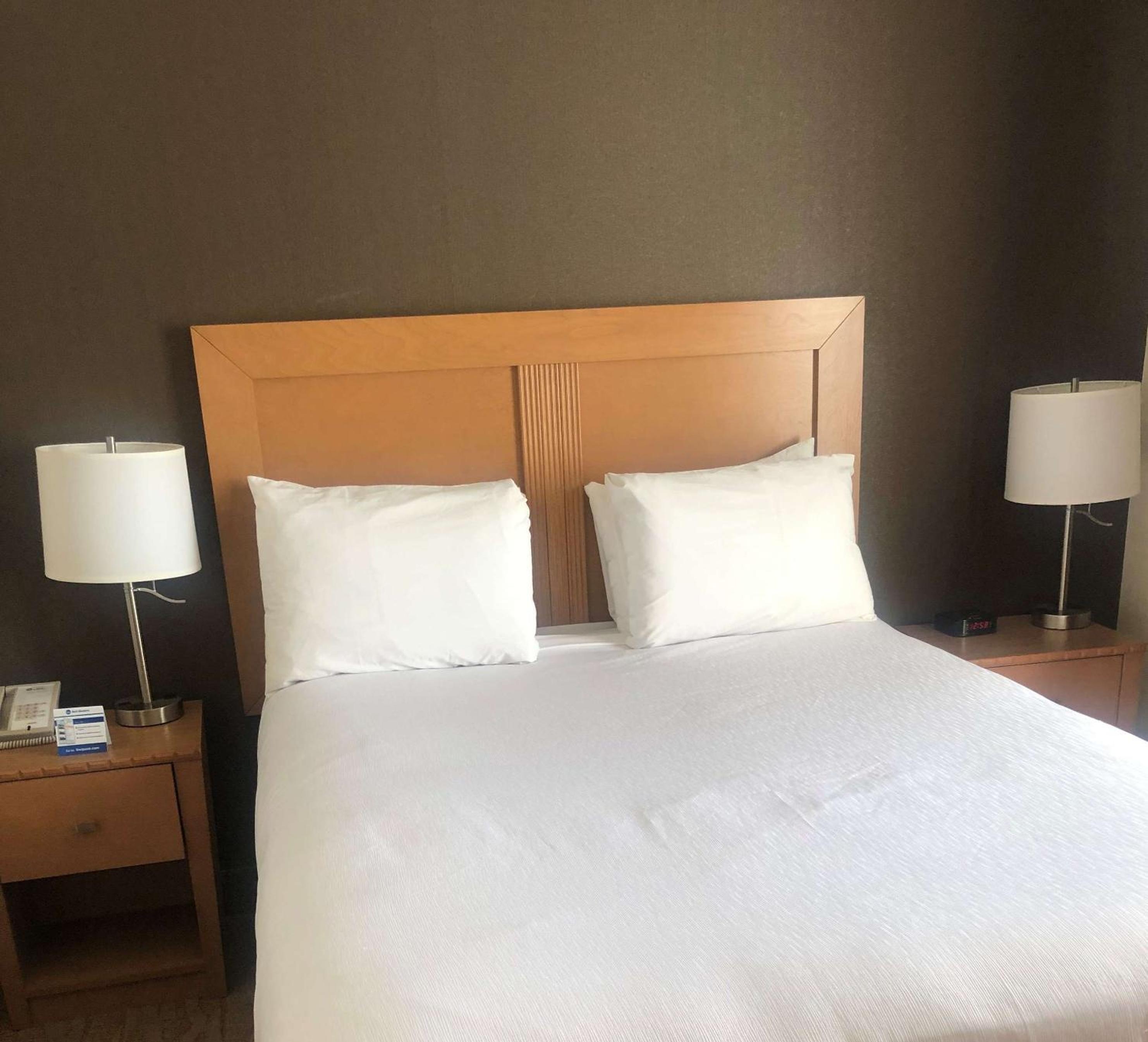 Queen Suite with Kitchenette - No Pets Allowed/Non-Smoking - Photo 1