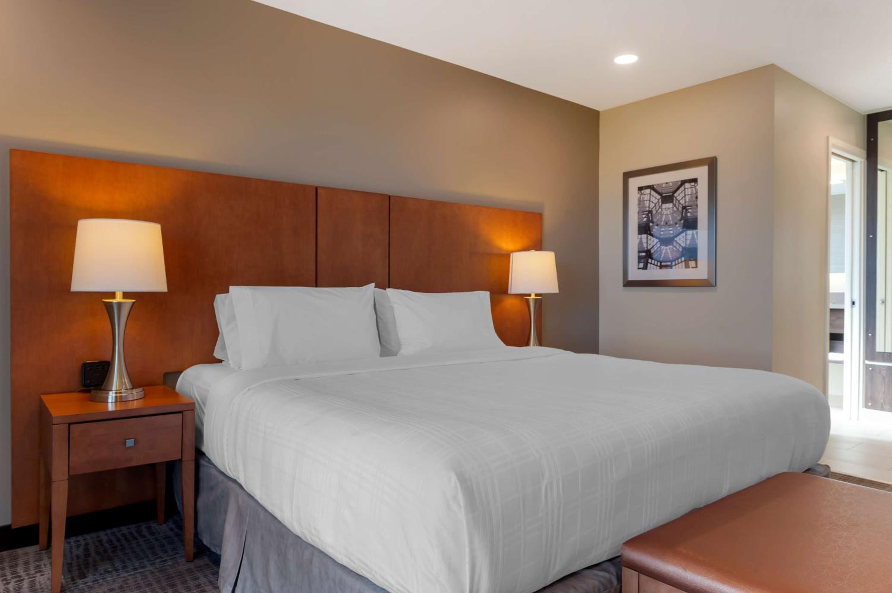 Executive King Suite with Sofa Bed - Photo 1