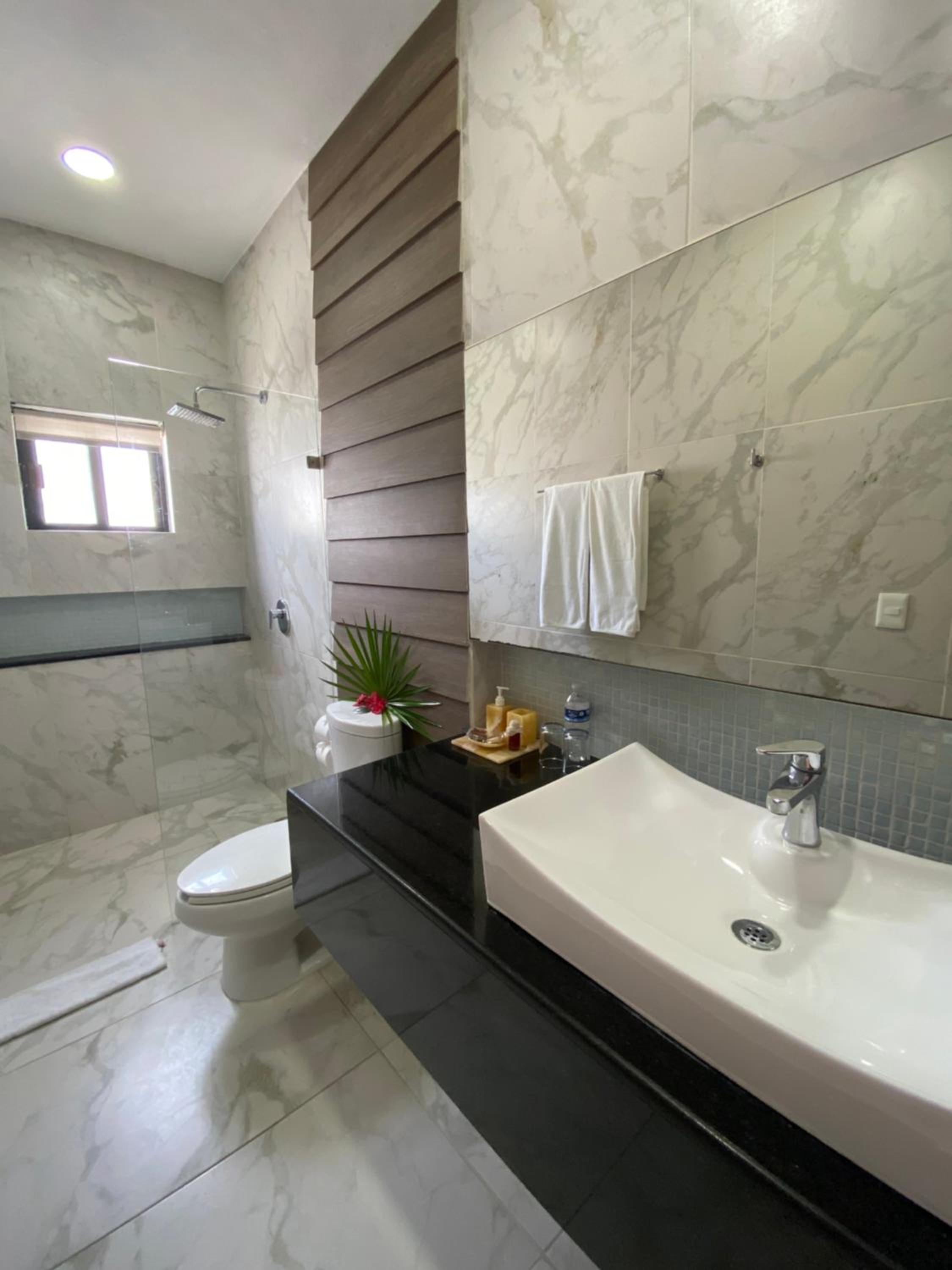 Deluxe King Room - Photo 19