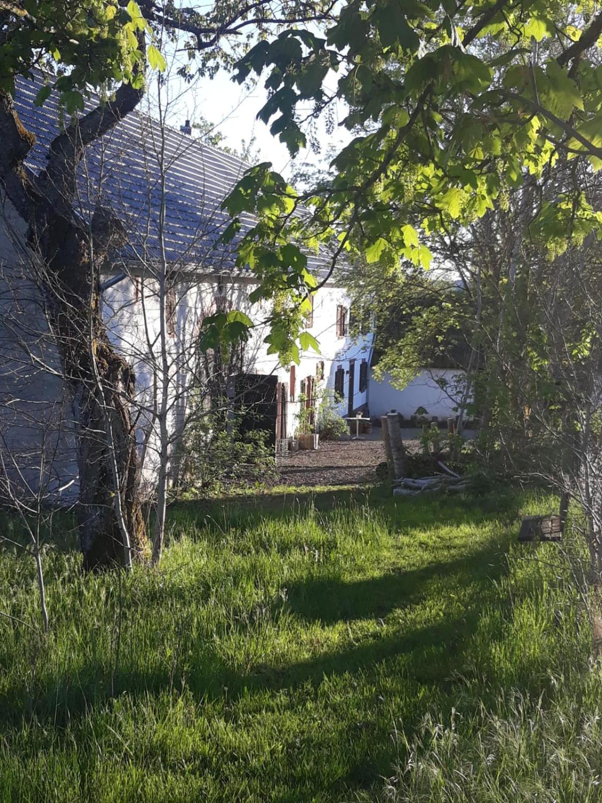 Four-Bedroom House photo 2