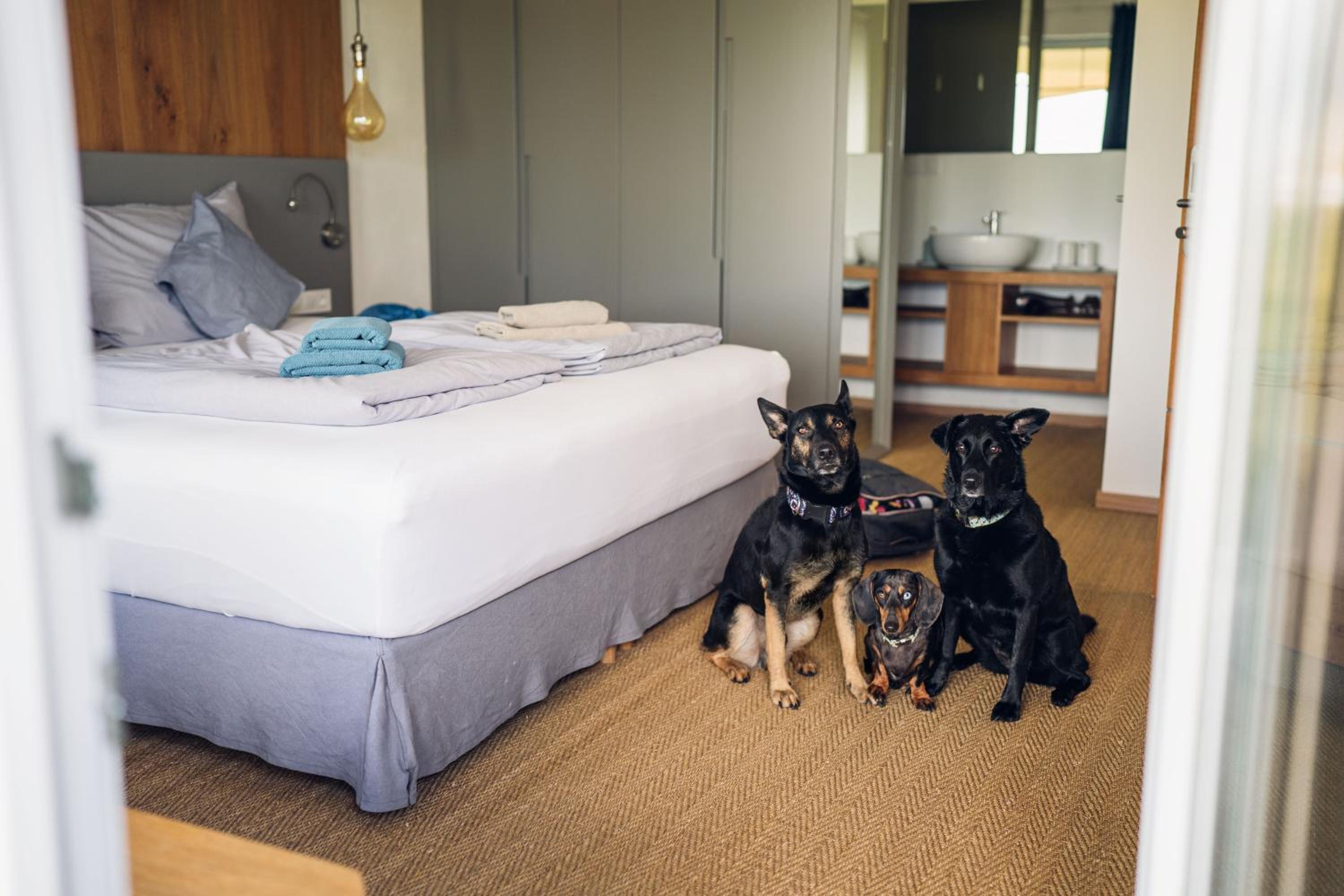 Deluxe Double Room - Photo 1
