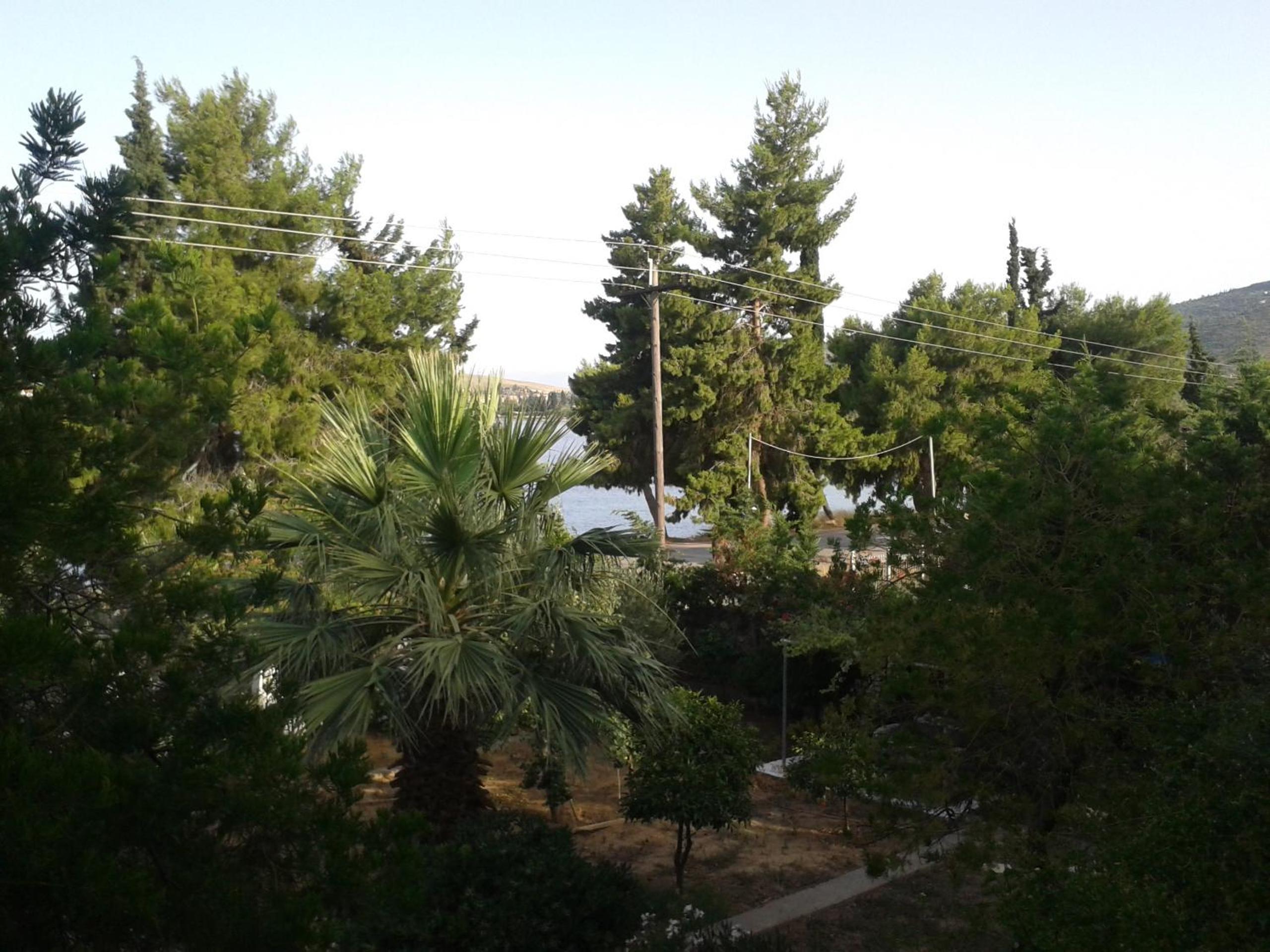 Two-Bedroom Apartment with Sea View ( 6 Adults) photo 2