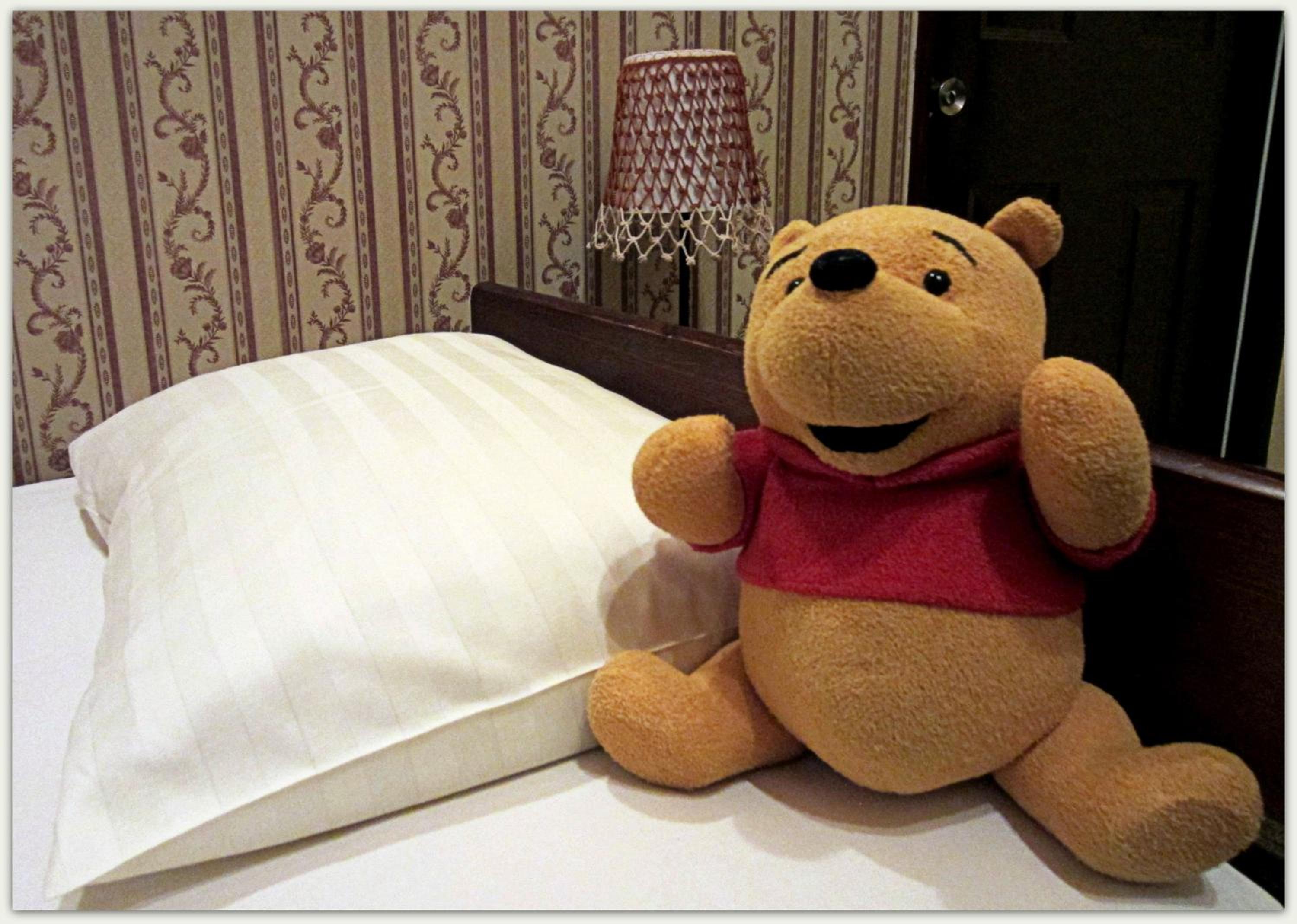 Single Room photo 1