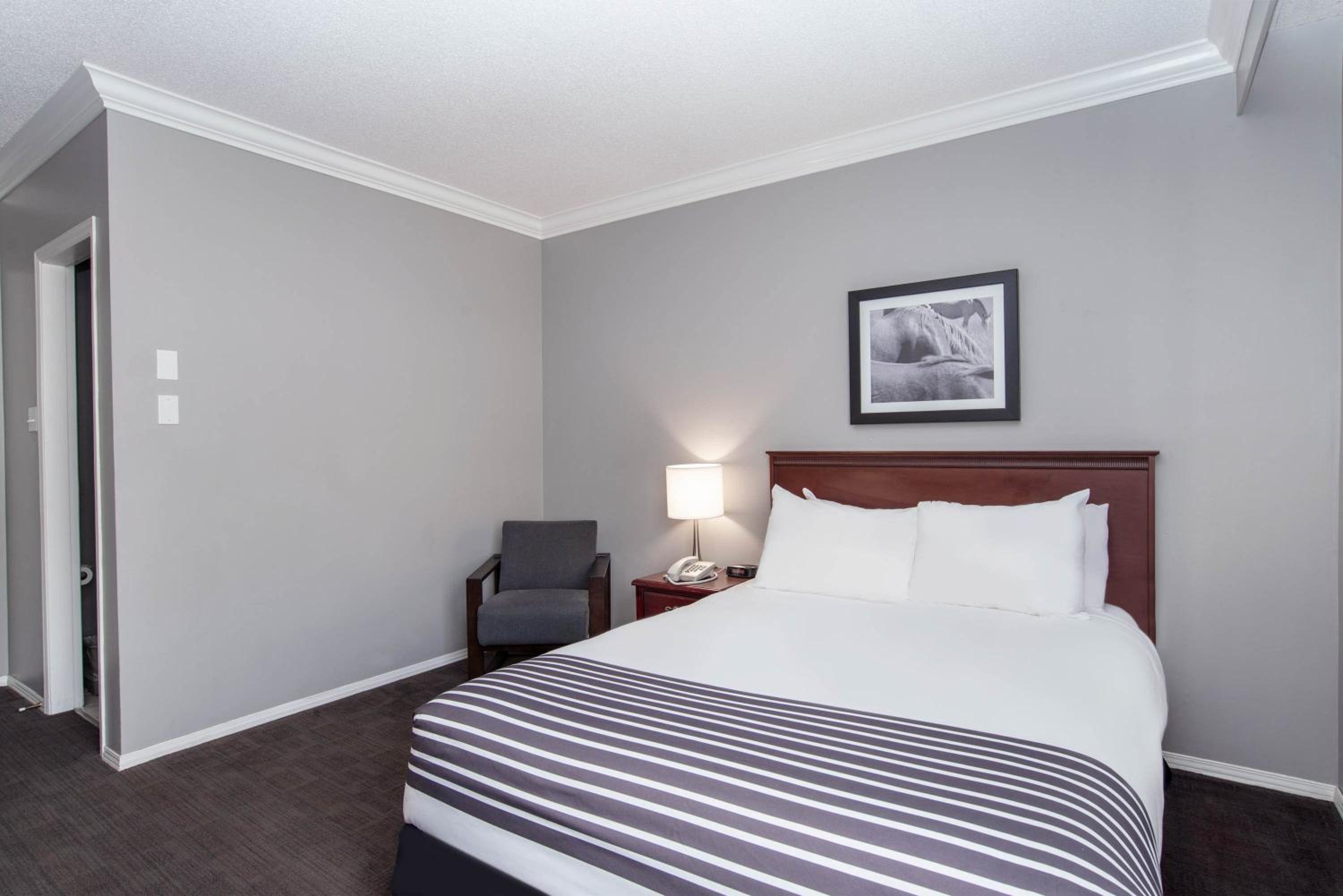 Standard Room, 1 Queen Bed photo 2