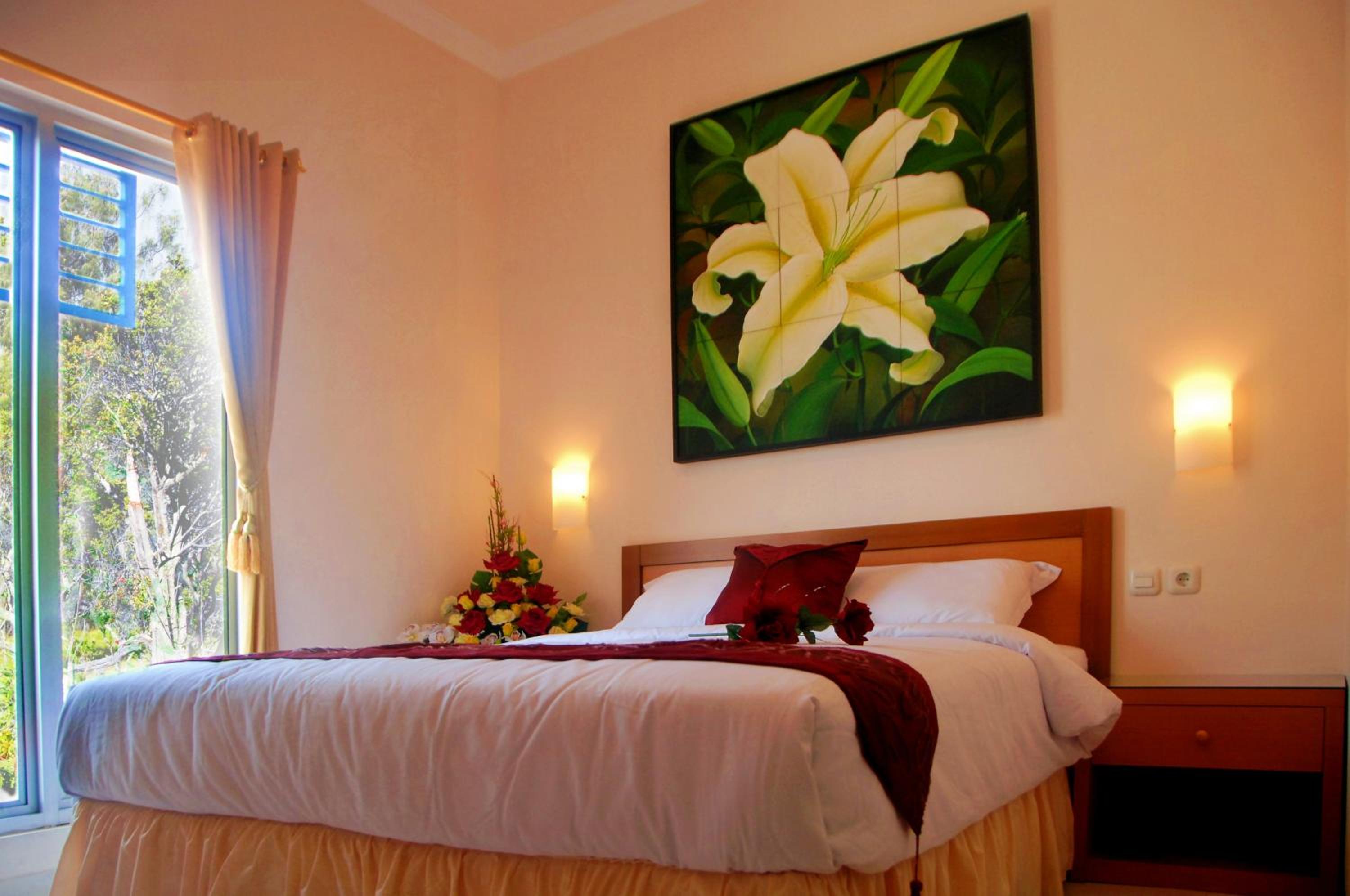 Deluxe King Room photo 3