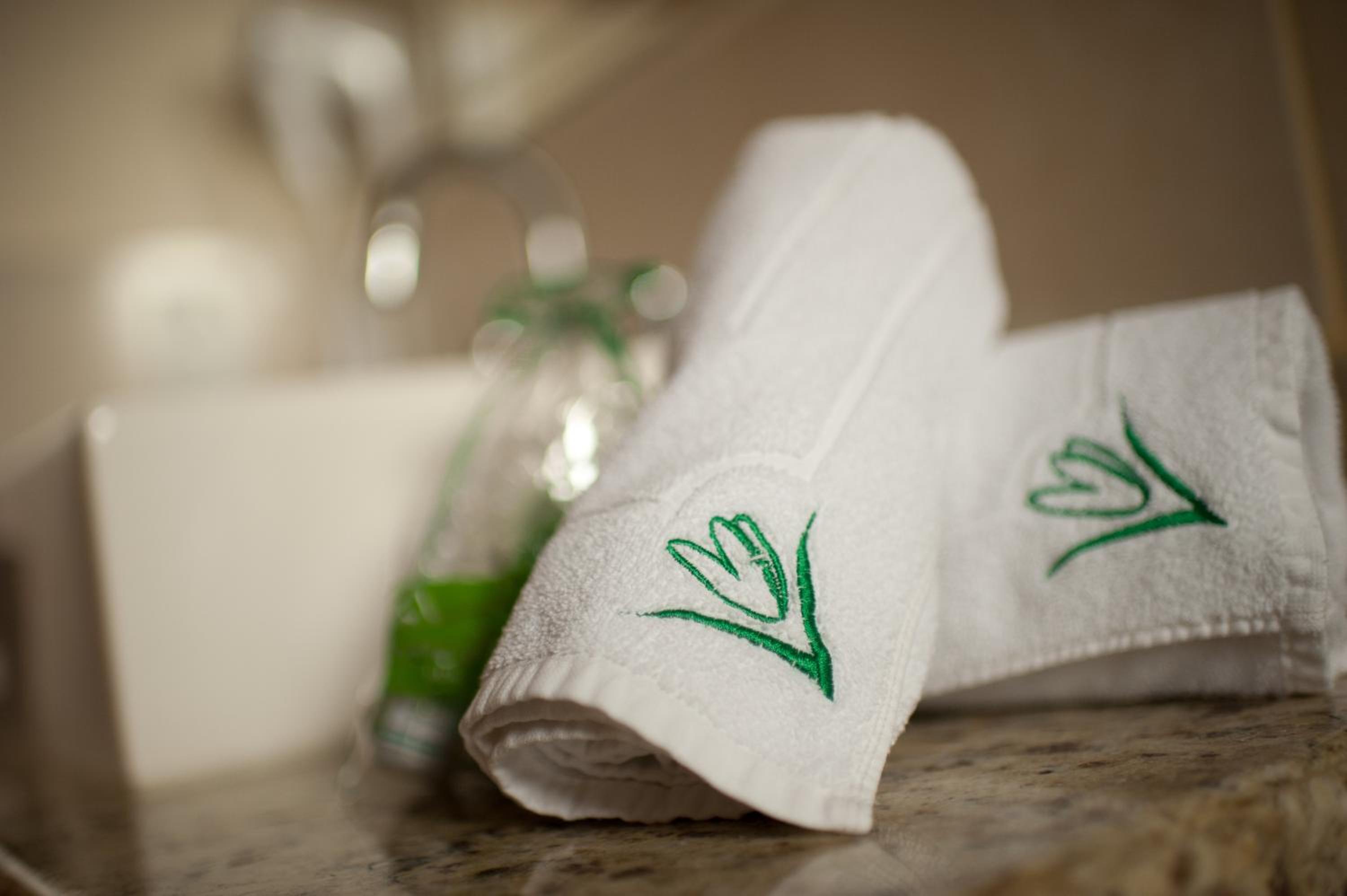 Chalé Luxo com Hidromassagem Dupla photo 2